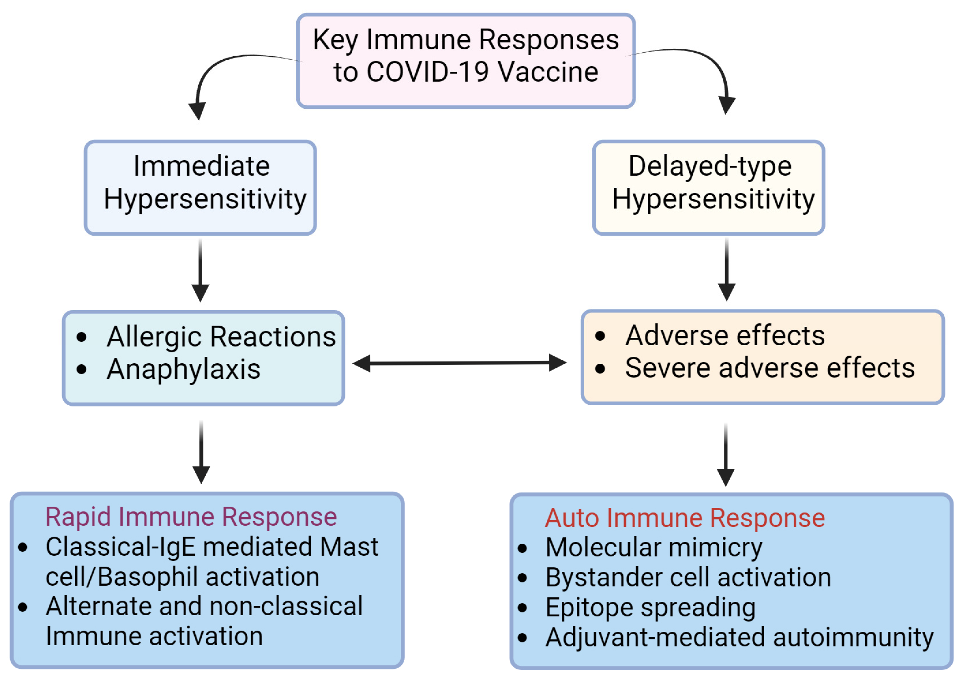 Biomolecules 14 01320 g001