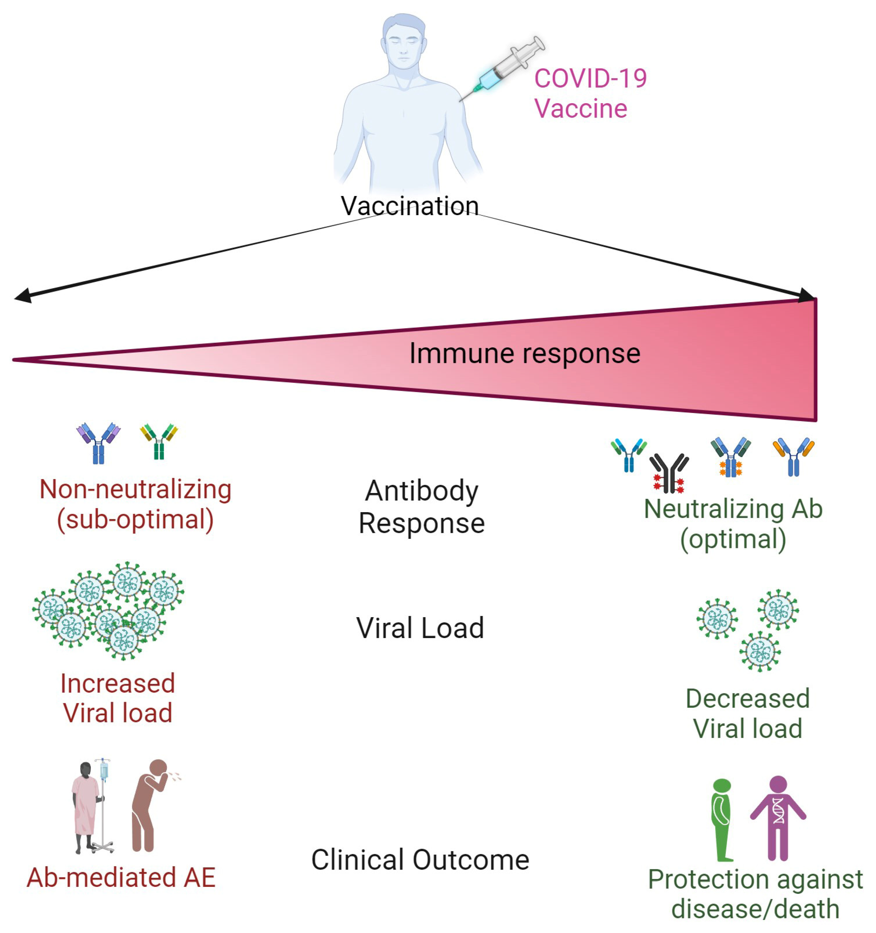 Biomolecules 14 01320 g002