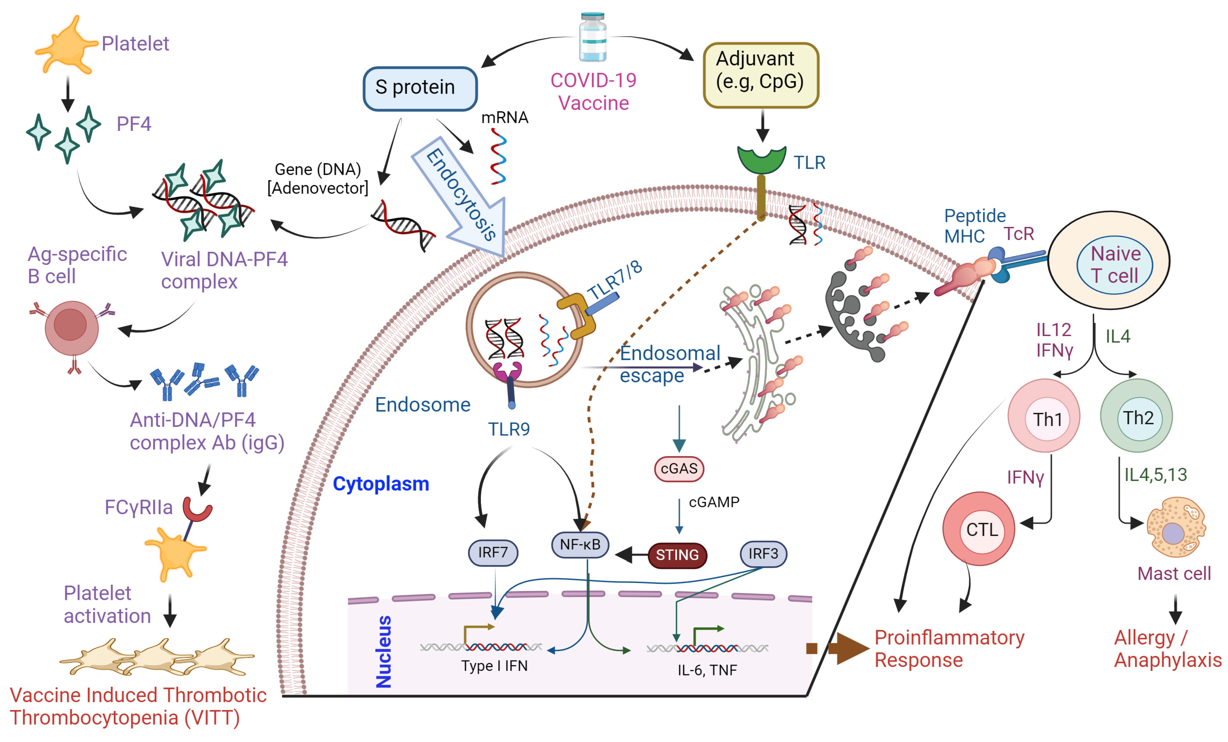 Biomolecules 14 01320 g004