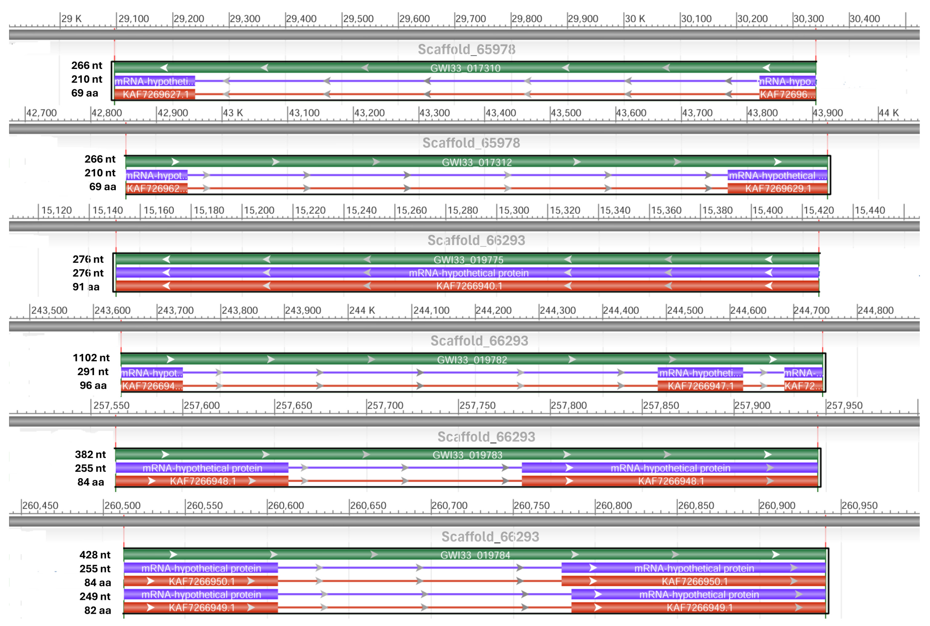 Biomolecules 14 01332 g004