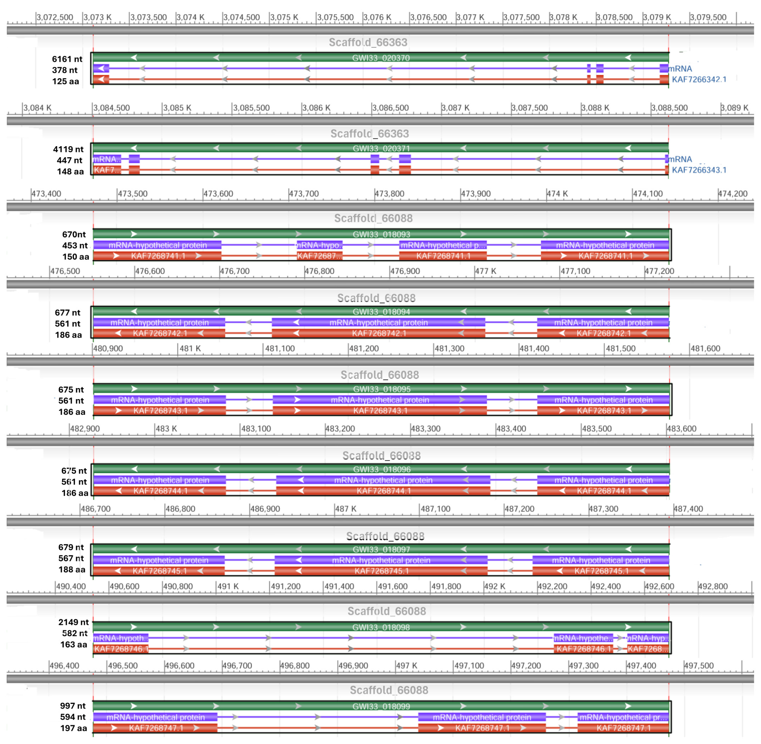 Biomolecules 14 01332 g006