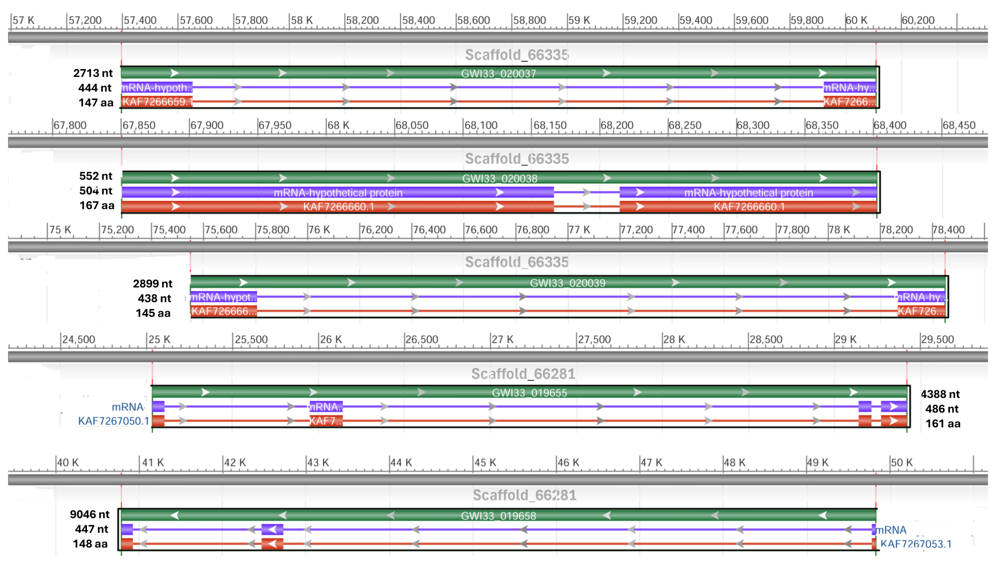 Biomolecules 14 01332 g007