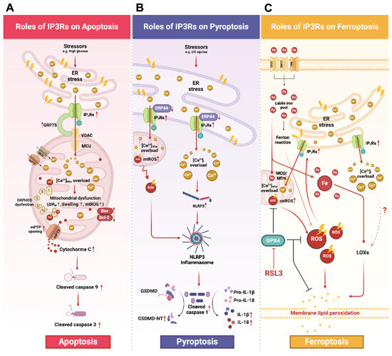 Biomolecules 14 01334 g002