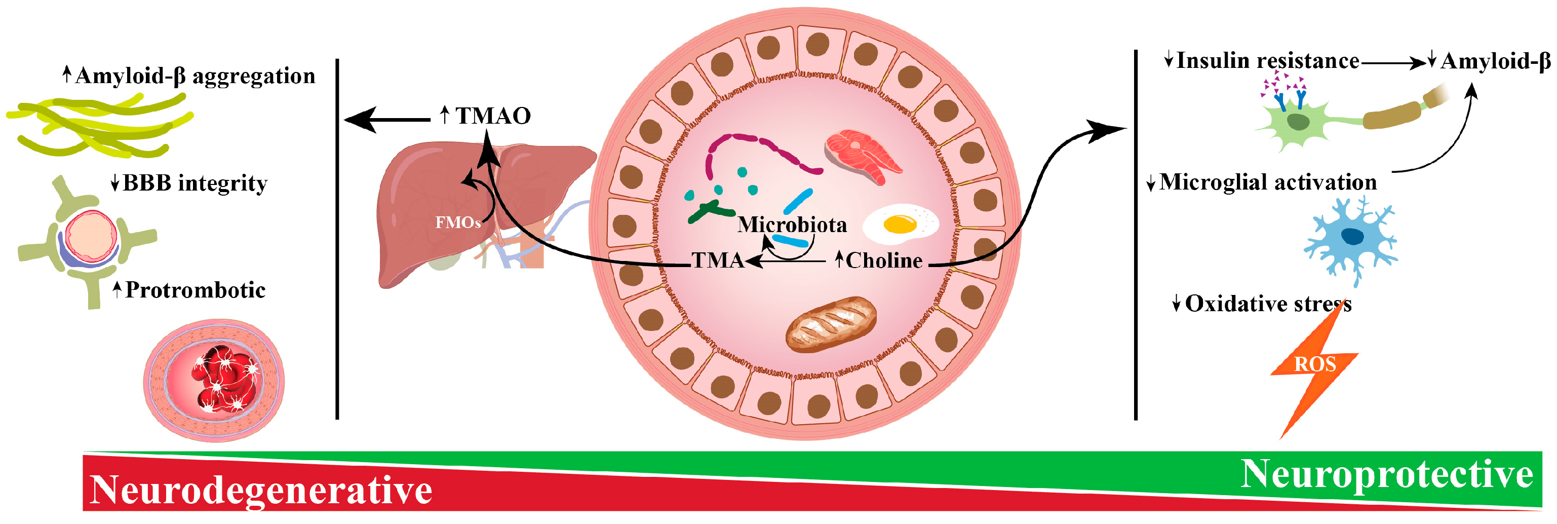 Biomolecules 14 01345 g002