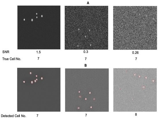 Biomolecules 14 01348 g001
