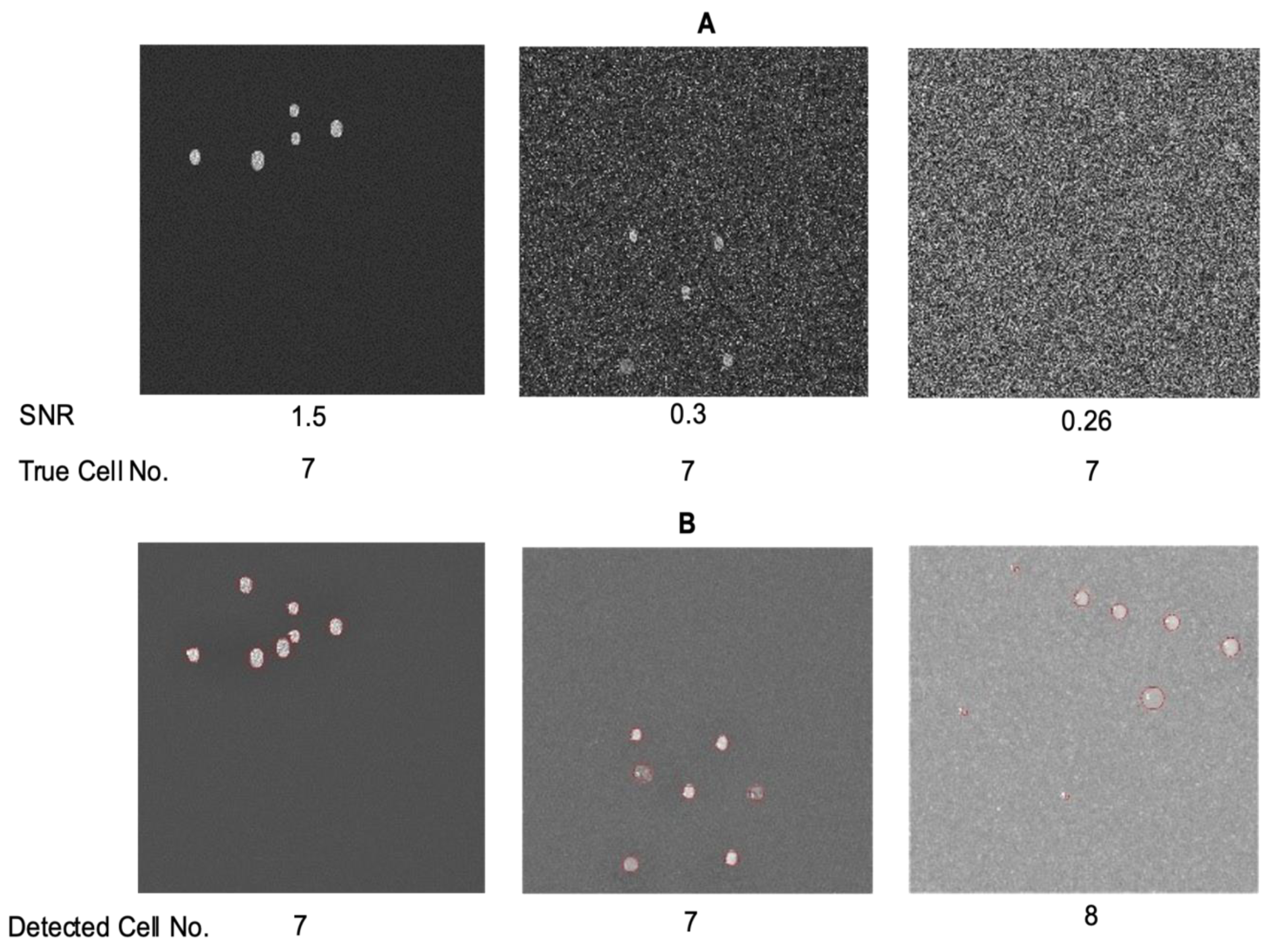 Biomolecules 14 01348 g001