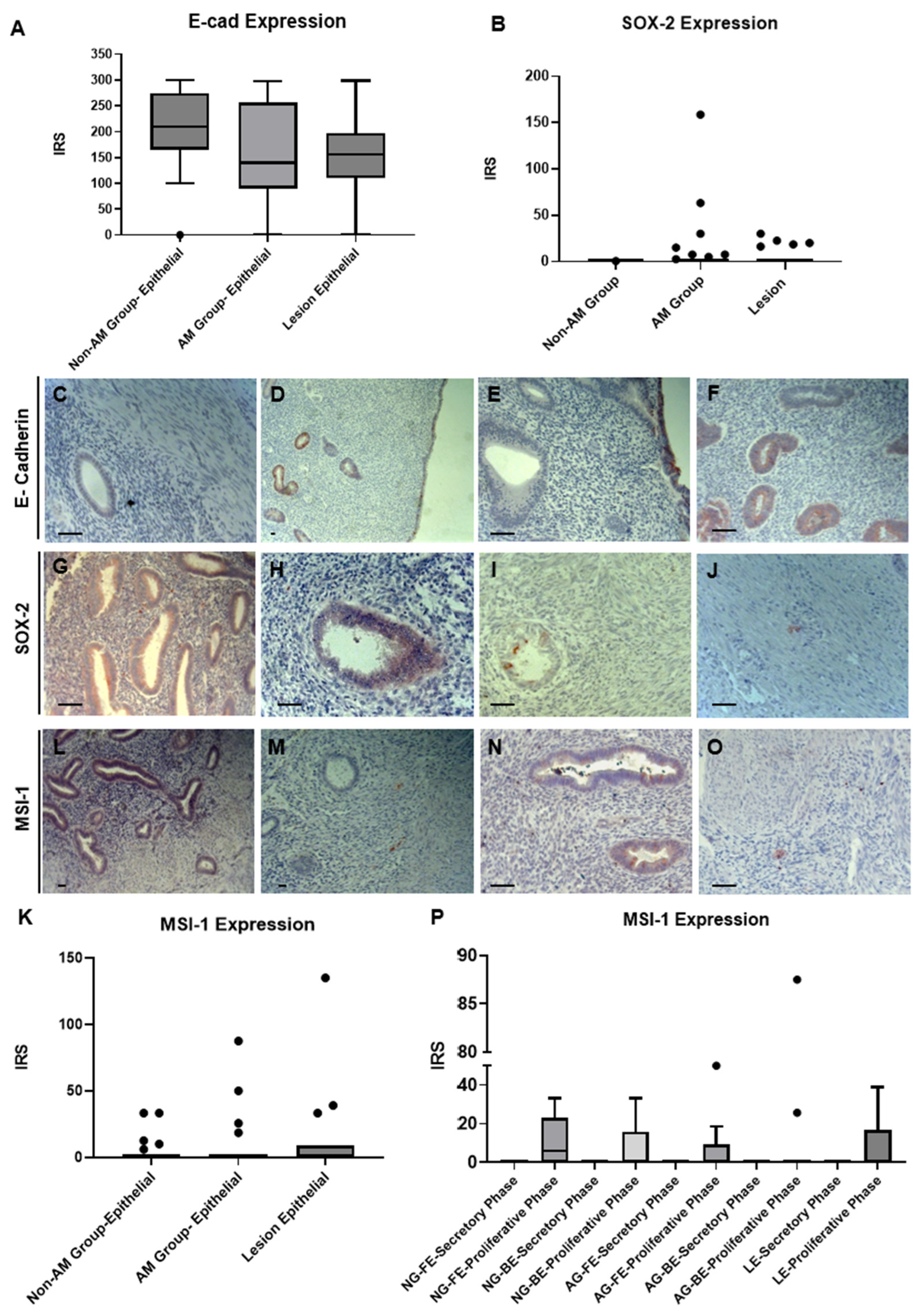 Biomolecules 14 01355 g001