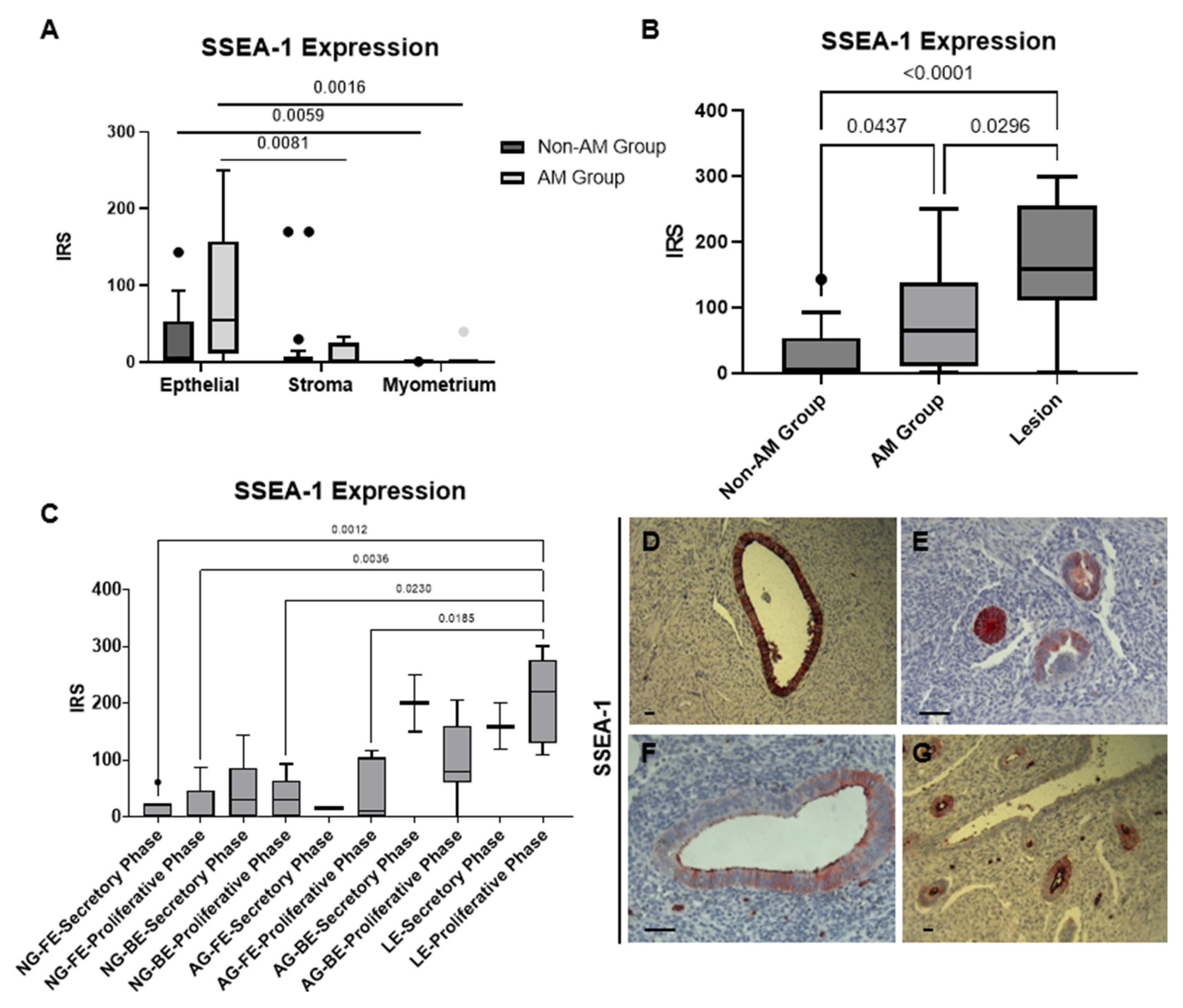 Biomolecules 14 01355 g002