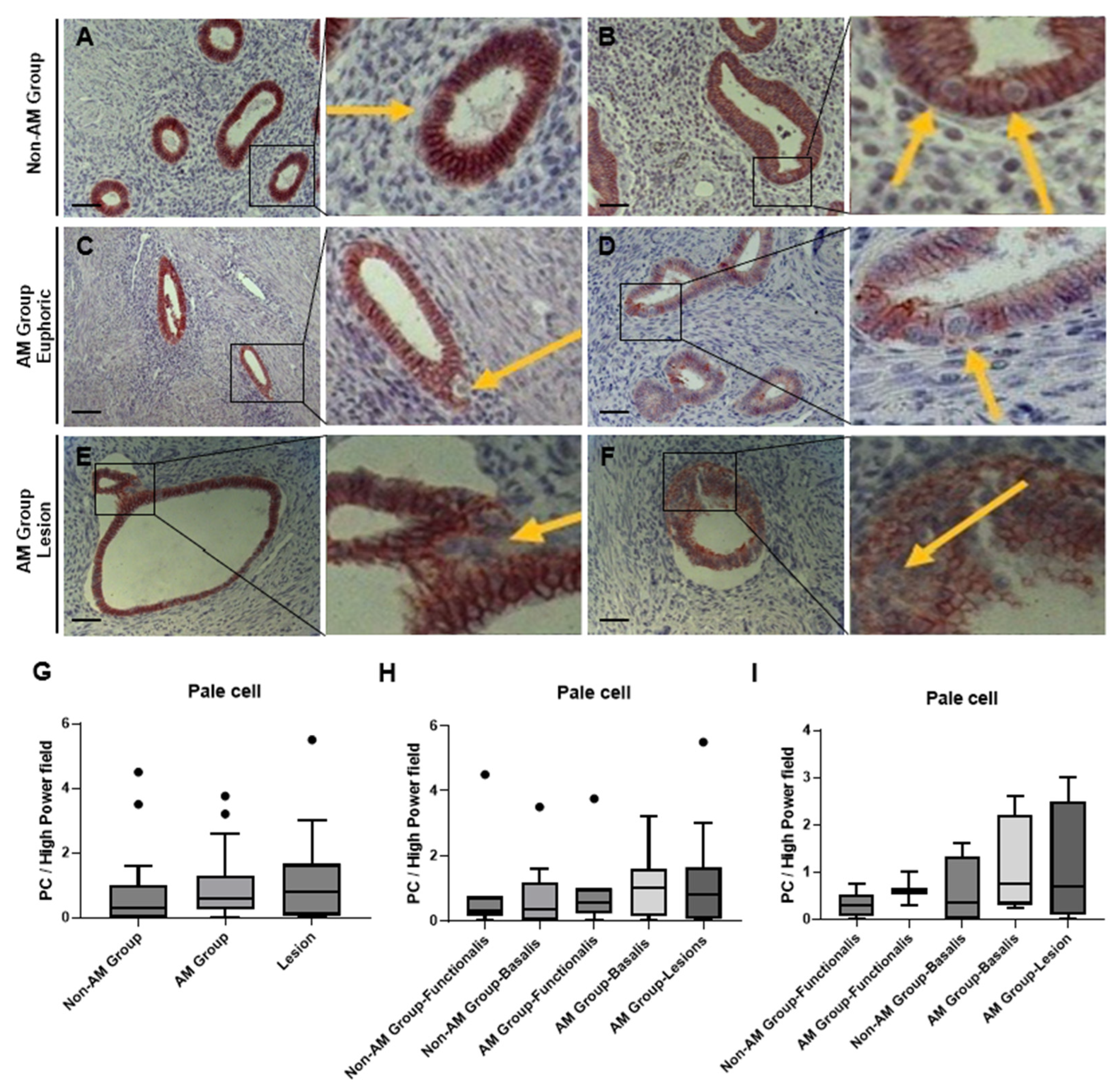Biomolecules 14 01355 g003