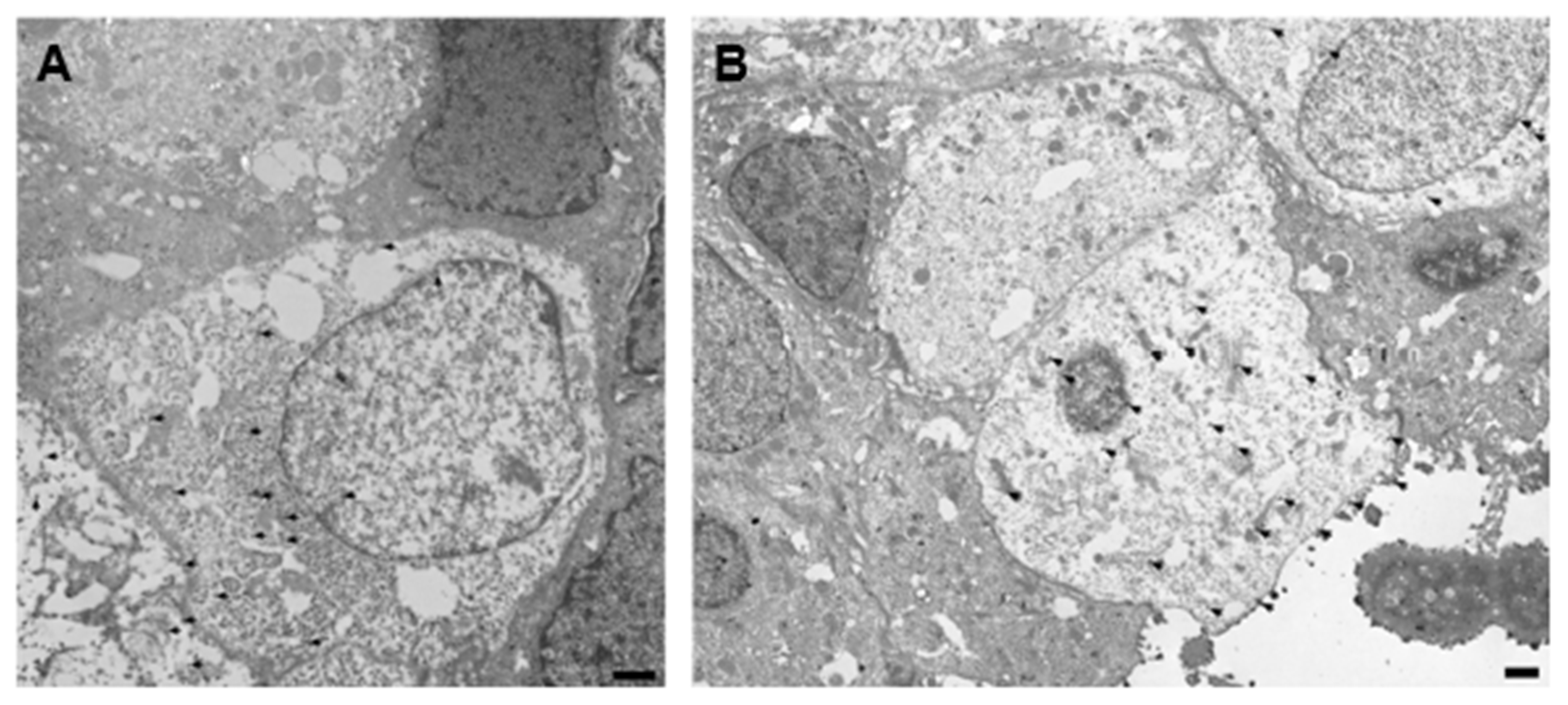 Biomolecules 14 01355 g004