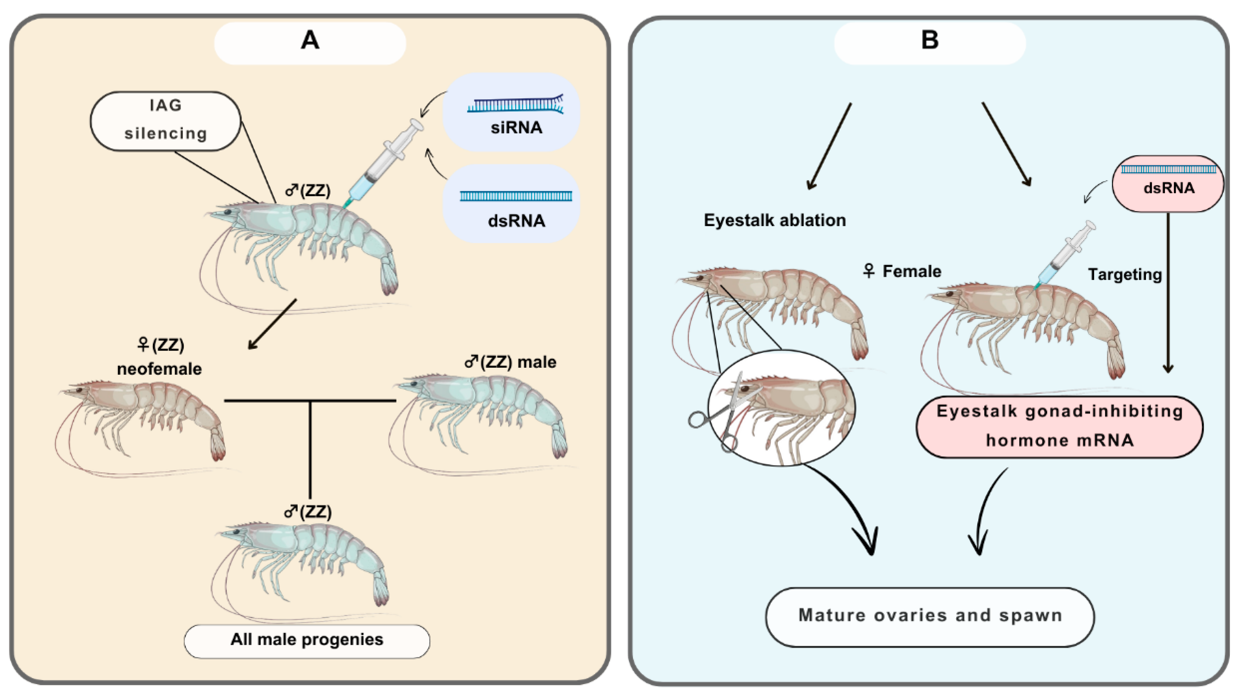Biomolecules 14 01358 g004