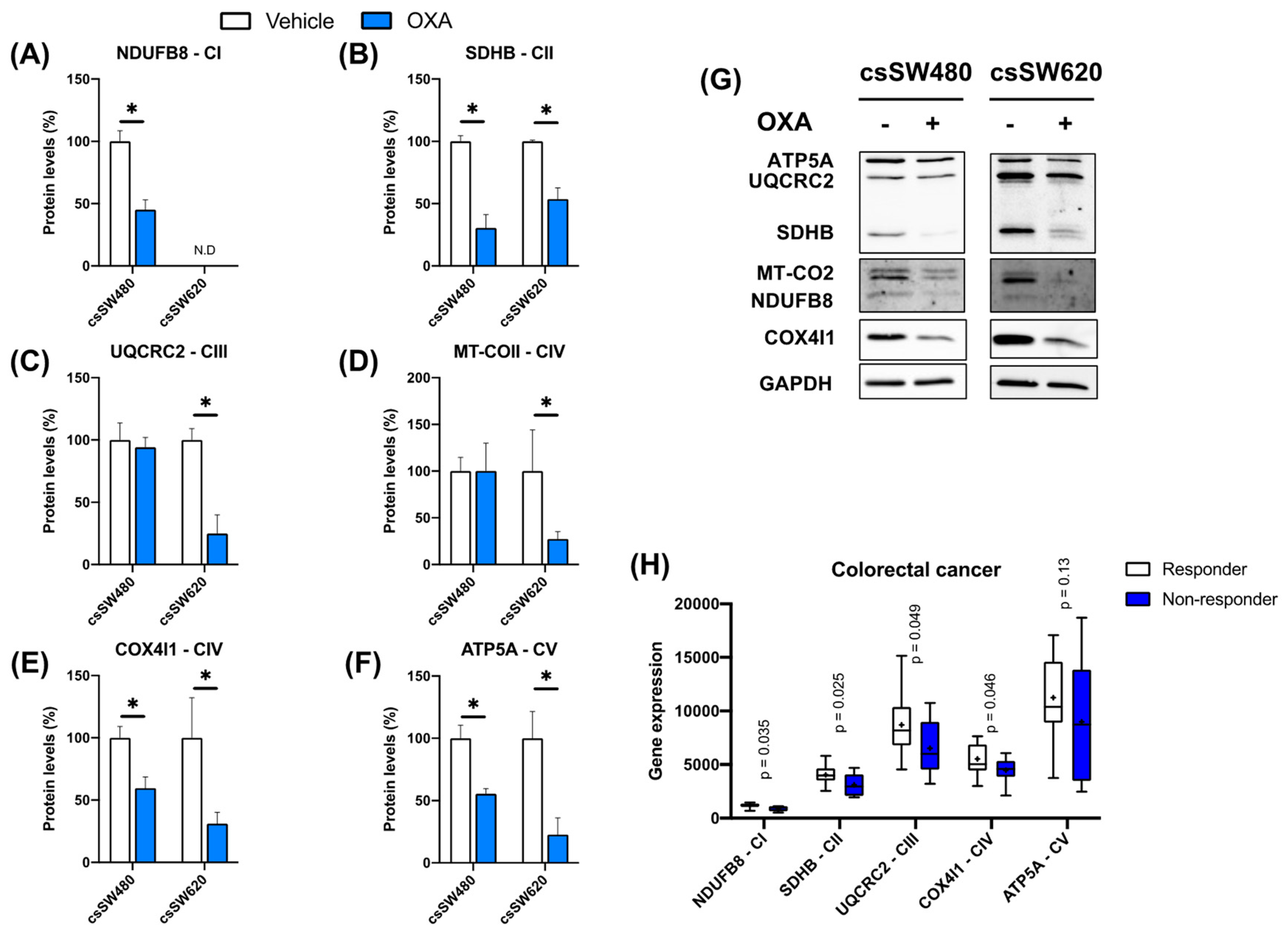 Biomolecules 14 01359 g004