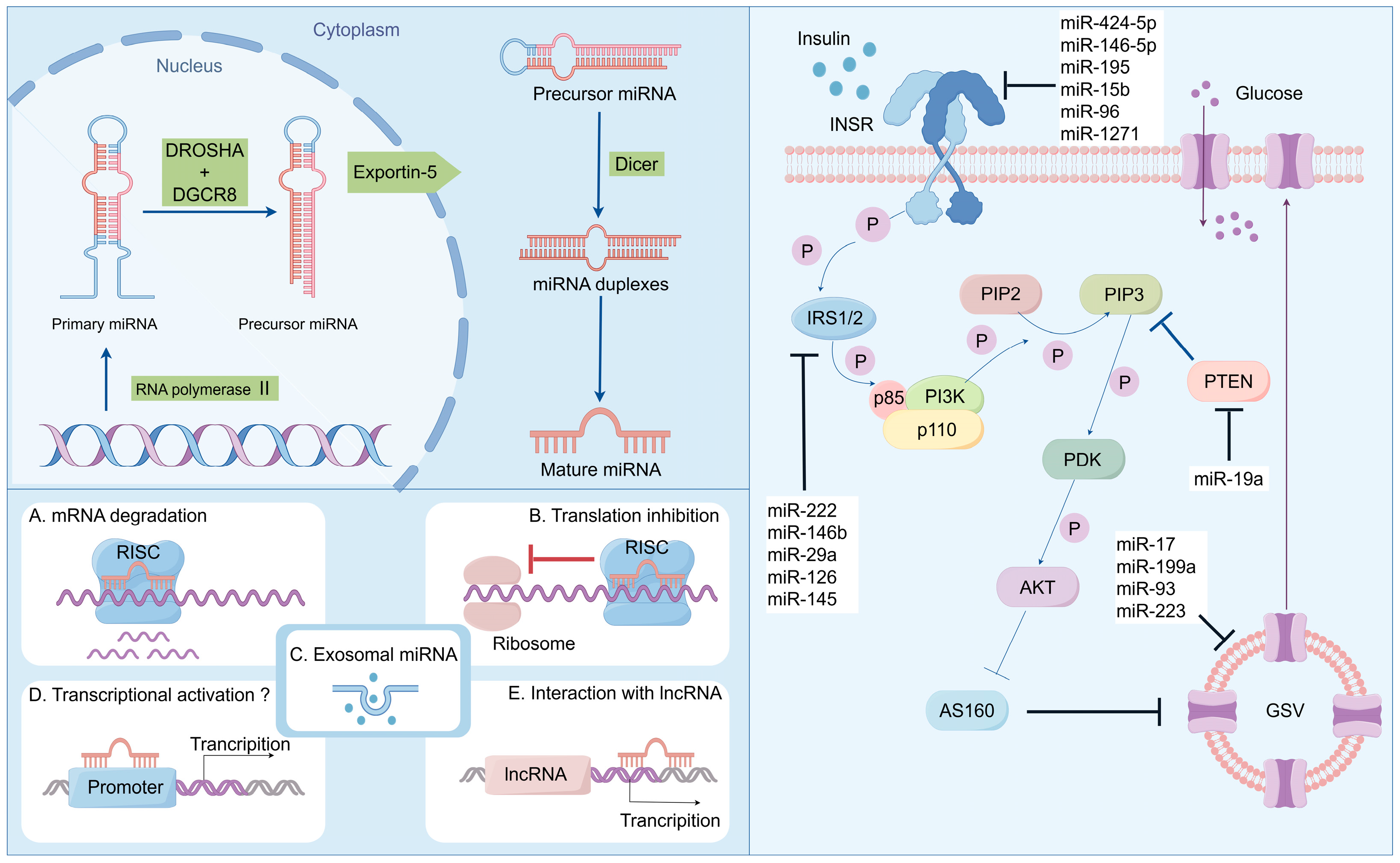 Biomolecules 14 01364 g001