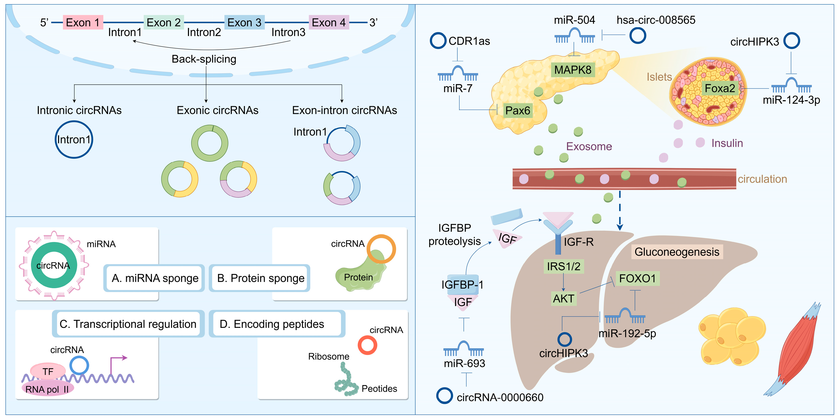Biomolecules 14 01364 g003