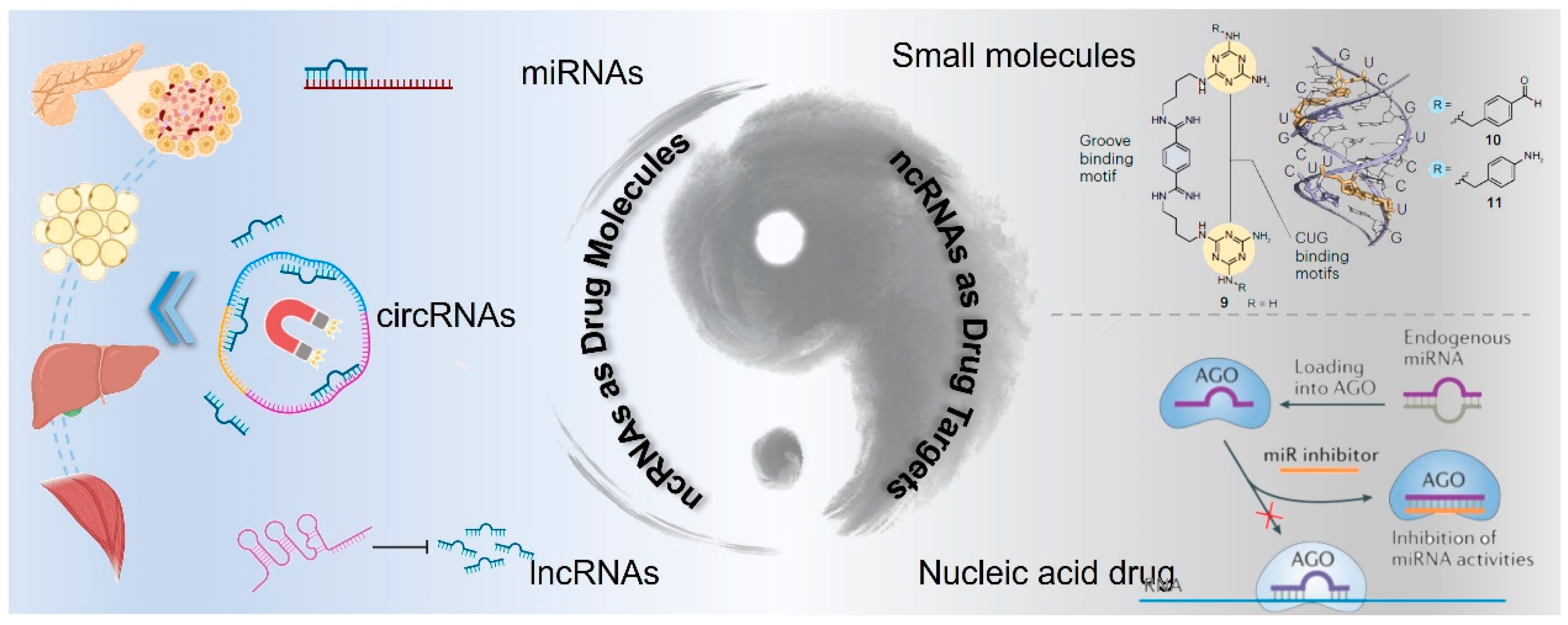 Biomolecules 14 01364 g004