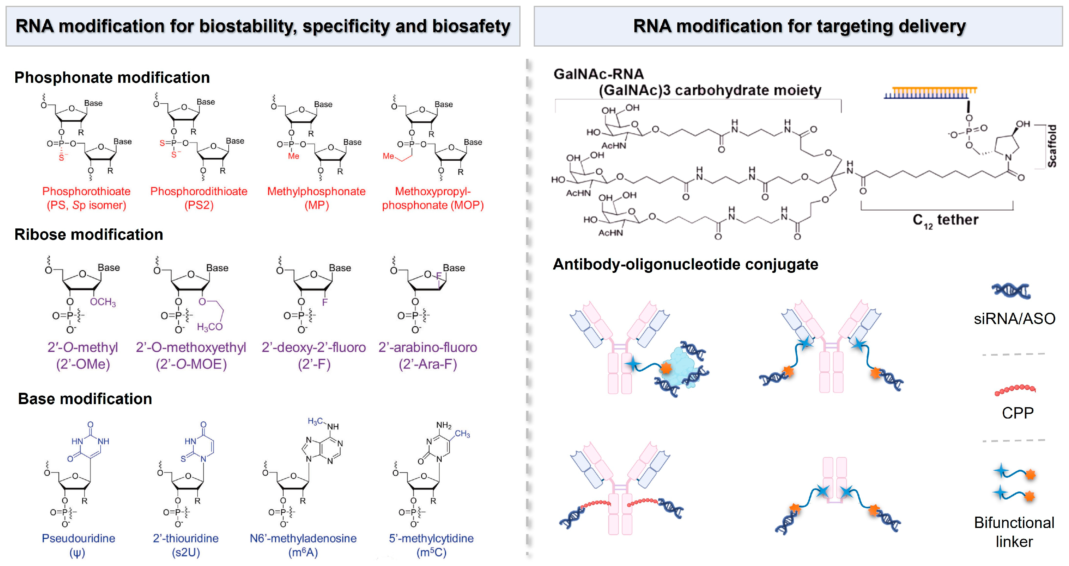 Biomolecules 14 01364 g005