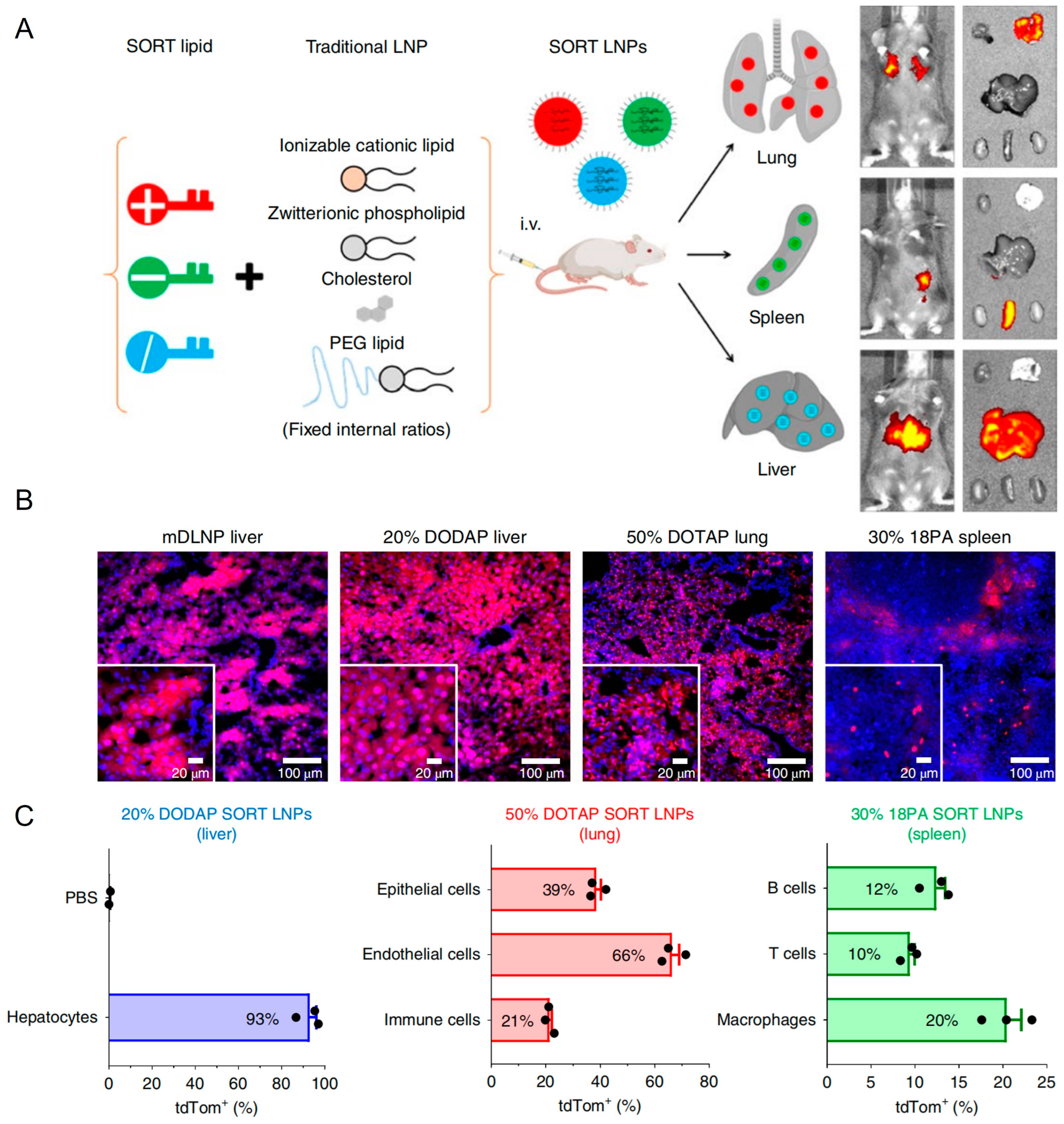 Biomolecules 14 01364 g007