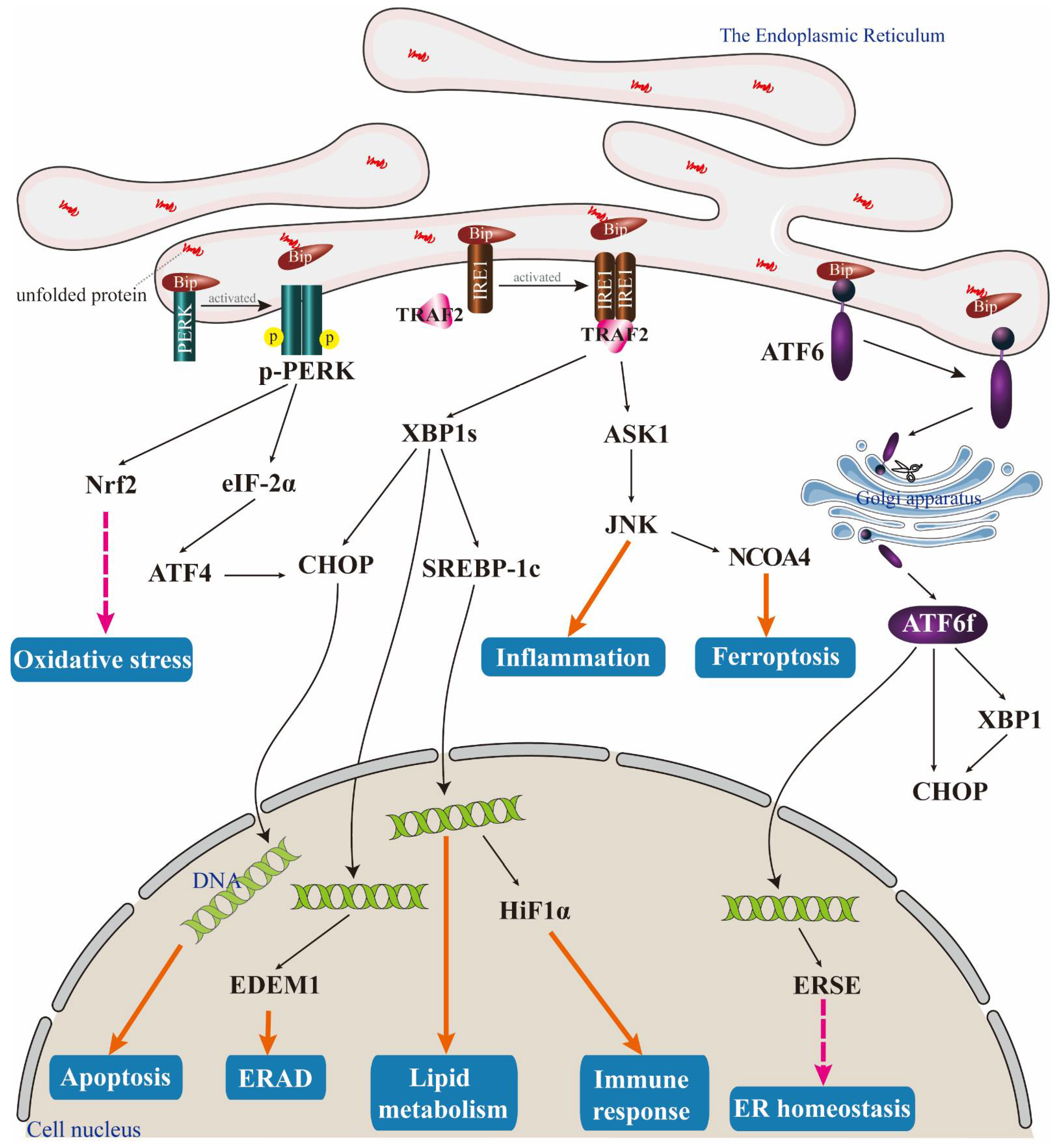 Biomolecules 14 01369 g001