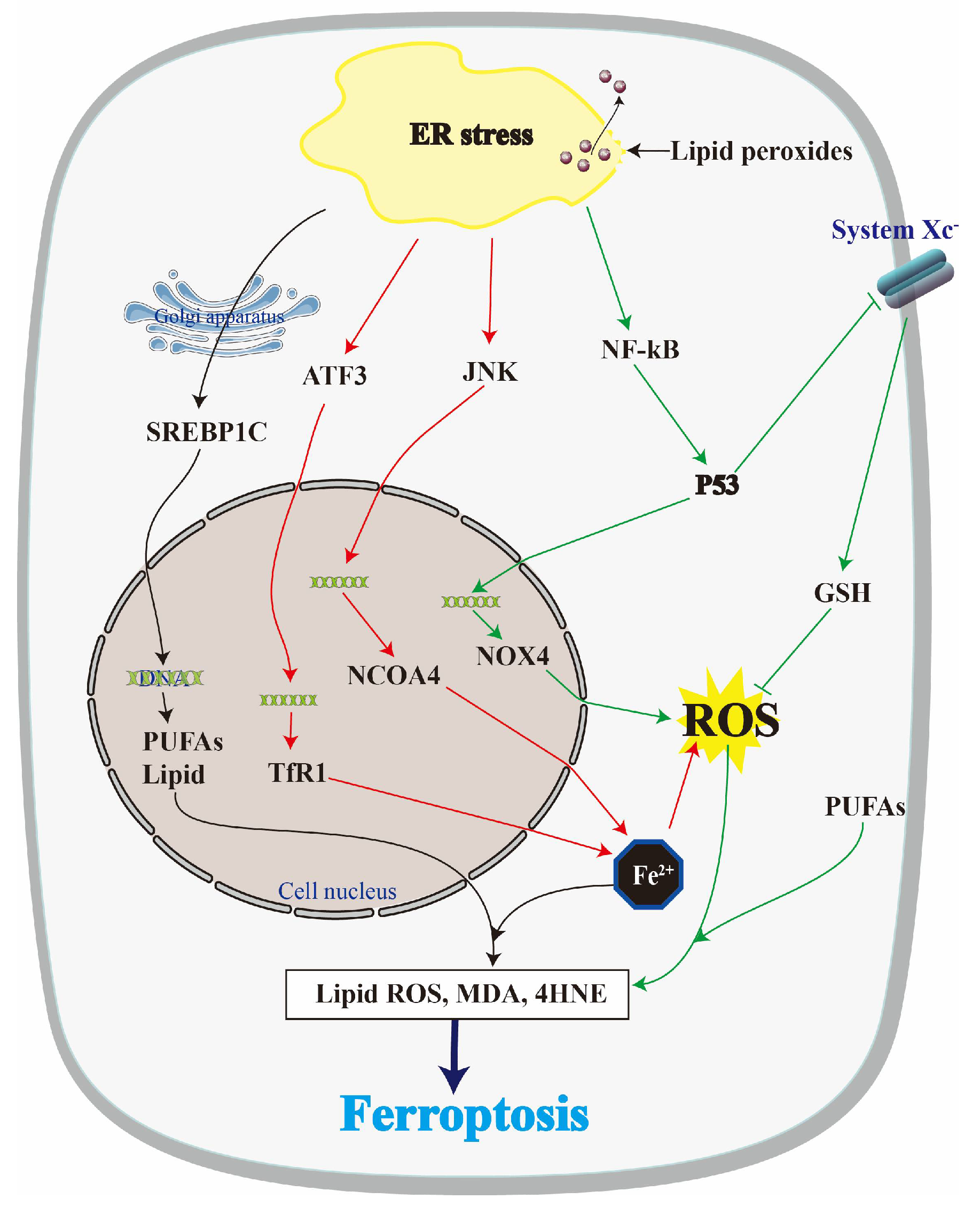Biomolecules 14 01369 g003