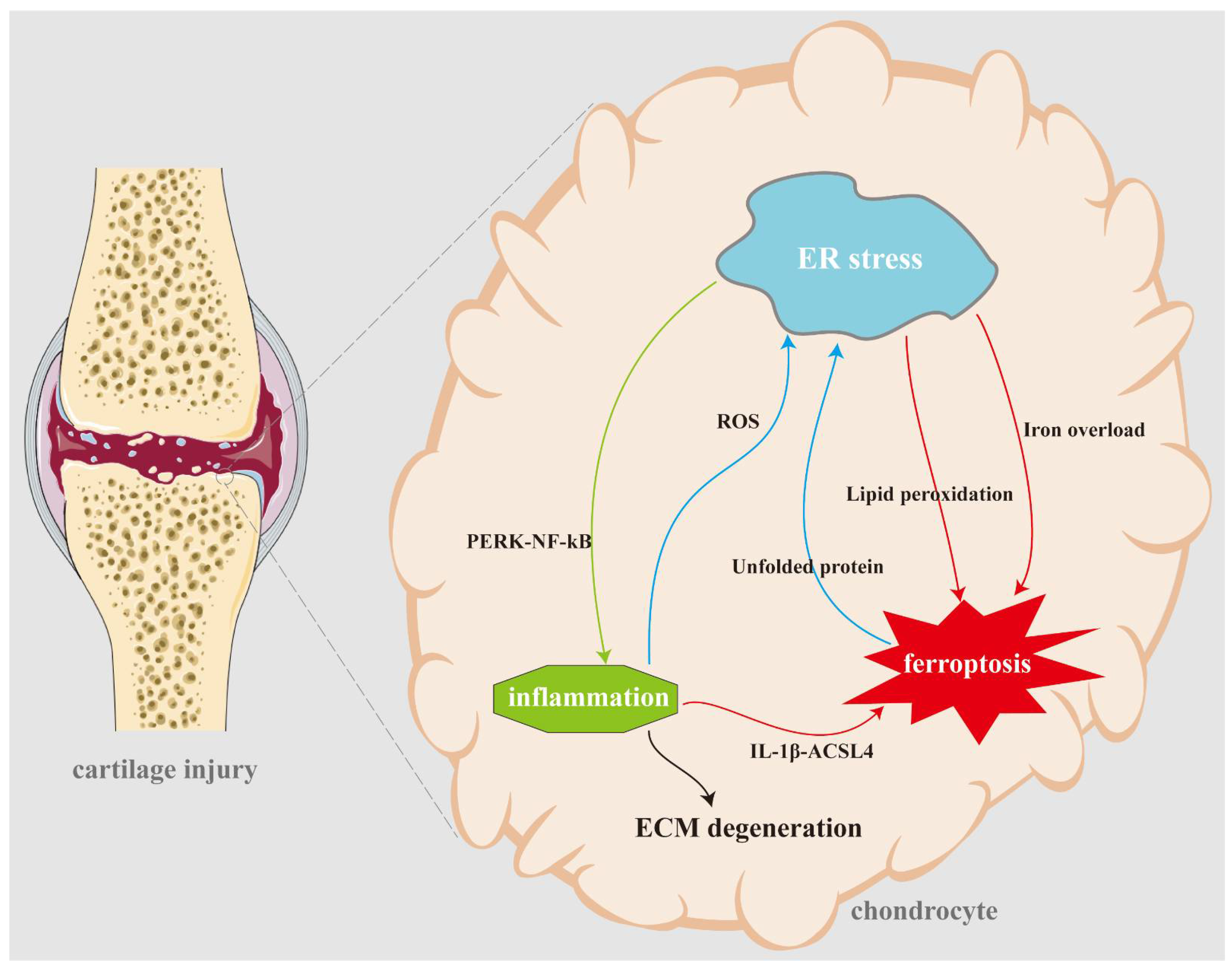 Biomolecules 14 01369 g004
