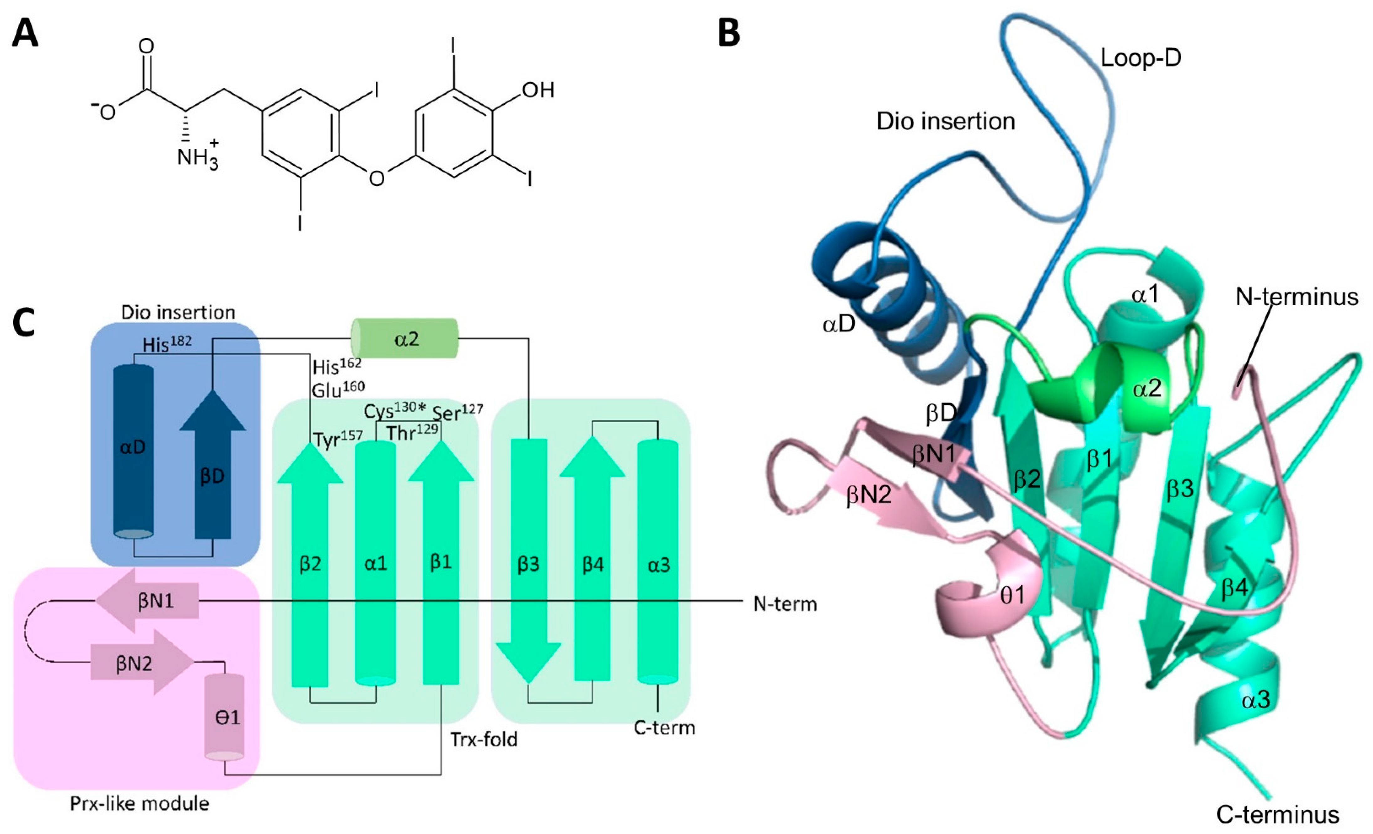Biomolecules 14 01373 g001 Biomolecules 14 01373 g001