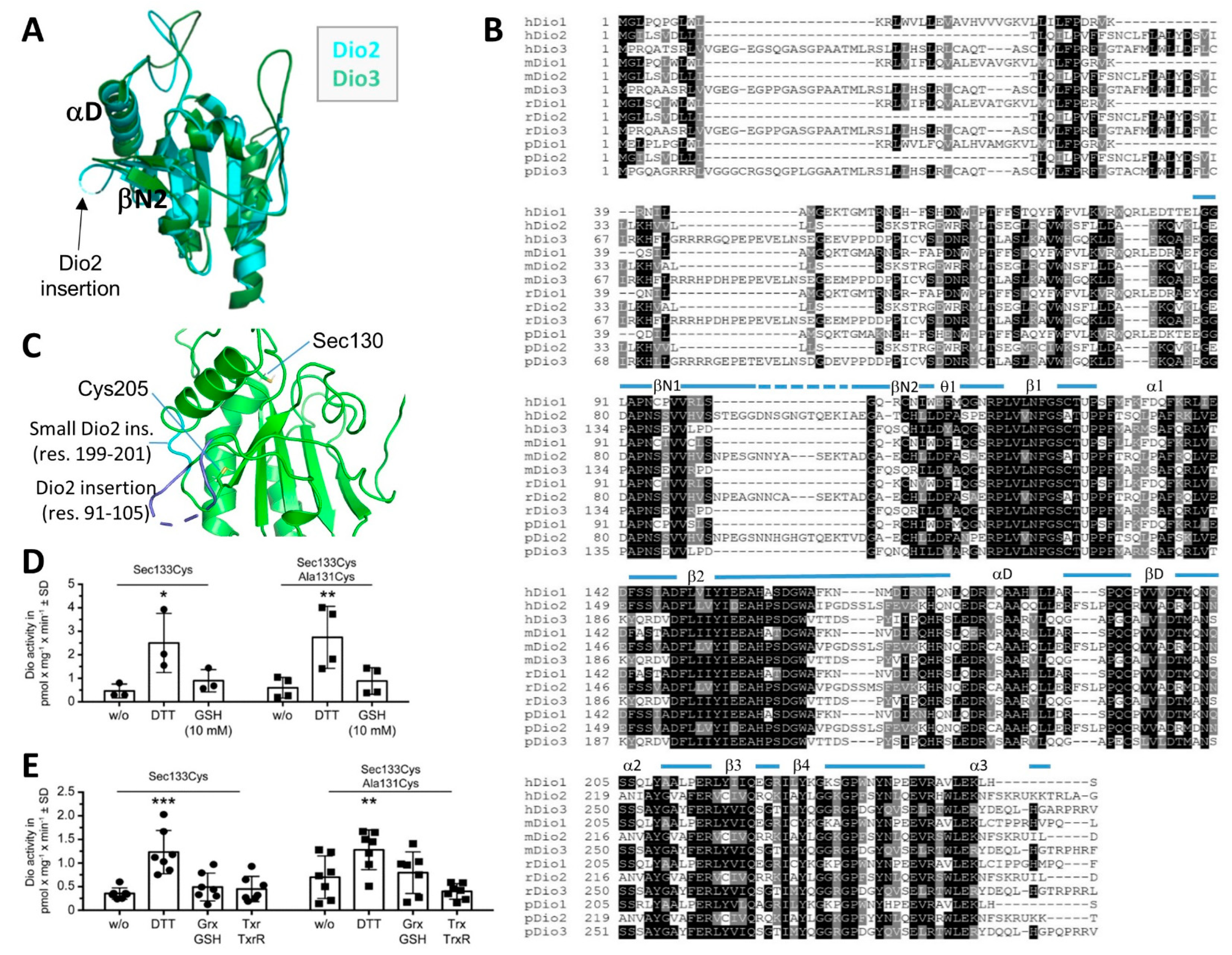 Biomolecules 14 01373 g002 Biomolecules 14 01373 g002