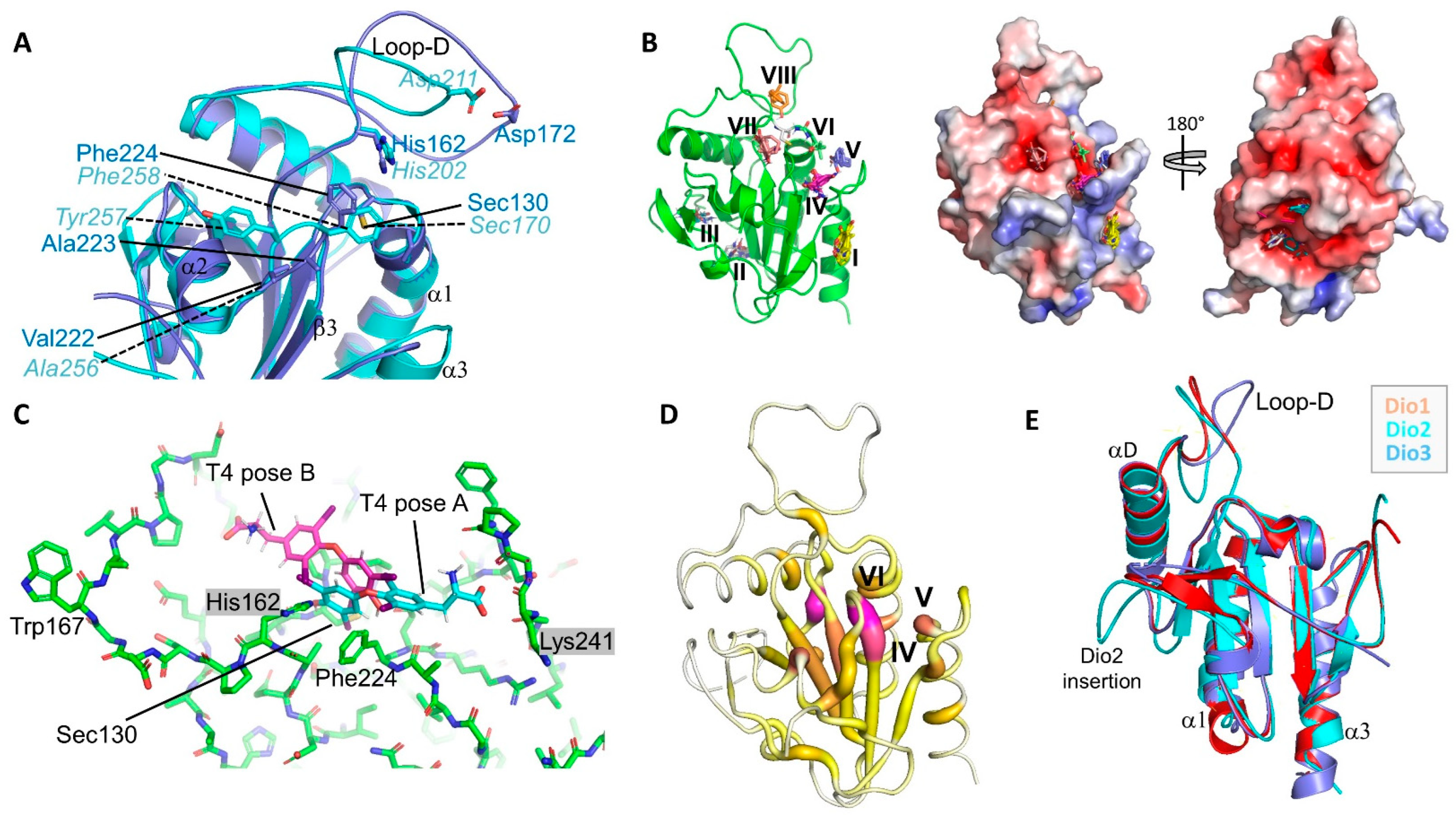Biomolecules 14 01373 g003 Biomolecules 14 01373 g003