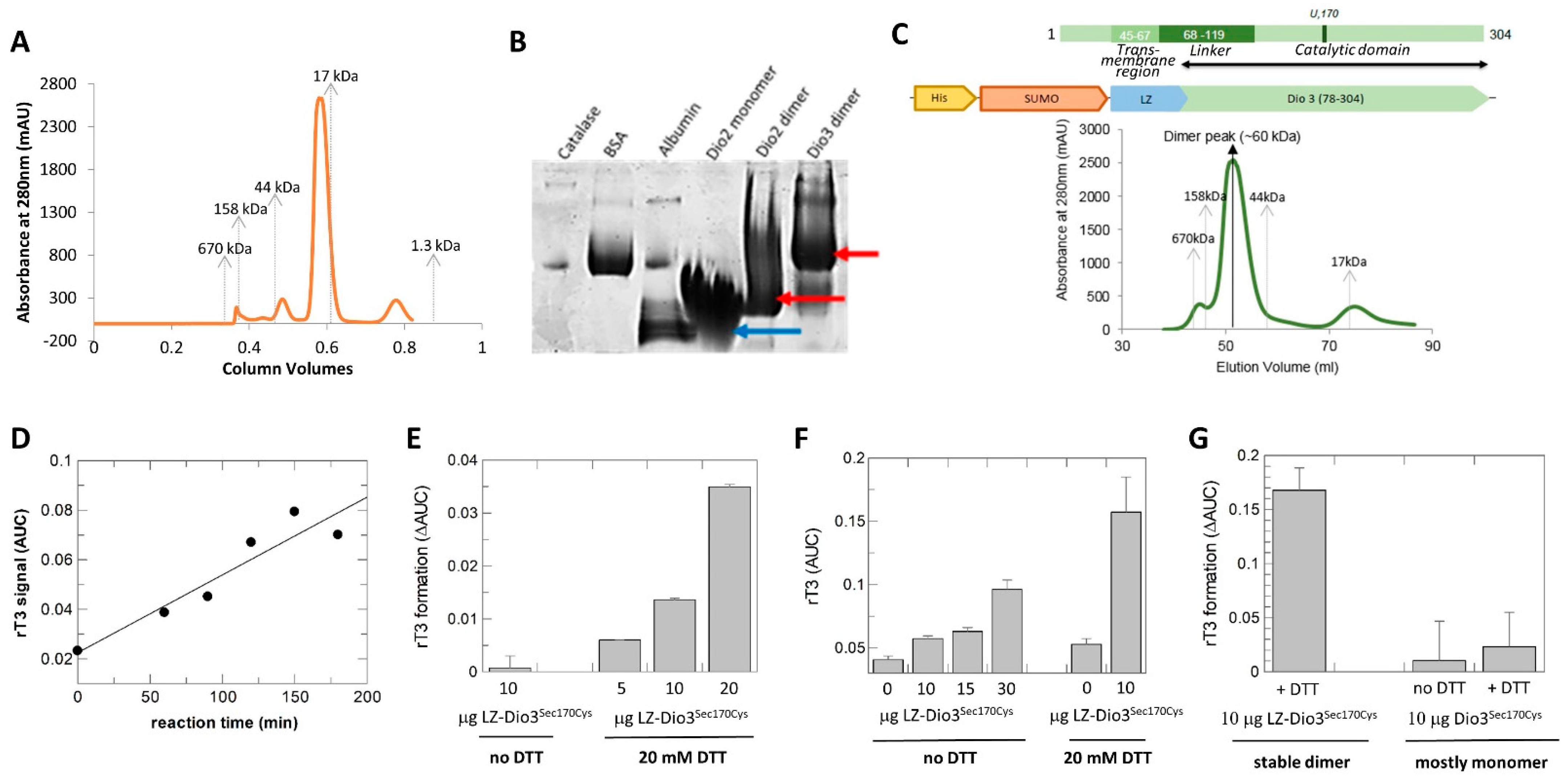Biomolecules 14 01373 g004 Biomolecules 14 01373 g004