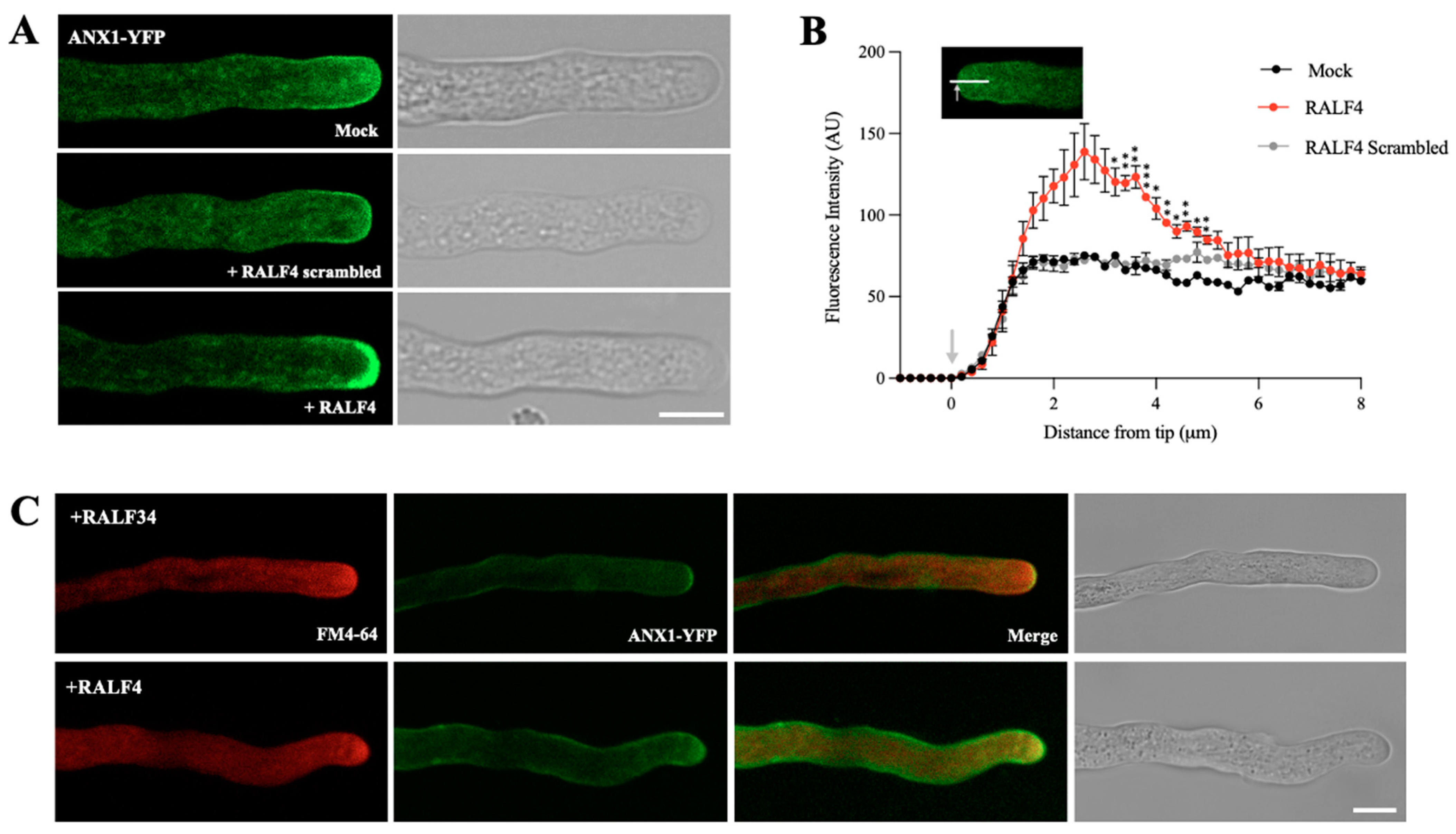 Biomolecules 14 01375 g003 Biomolecules 14 01375 g003