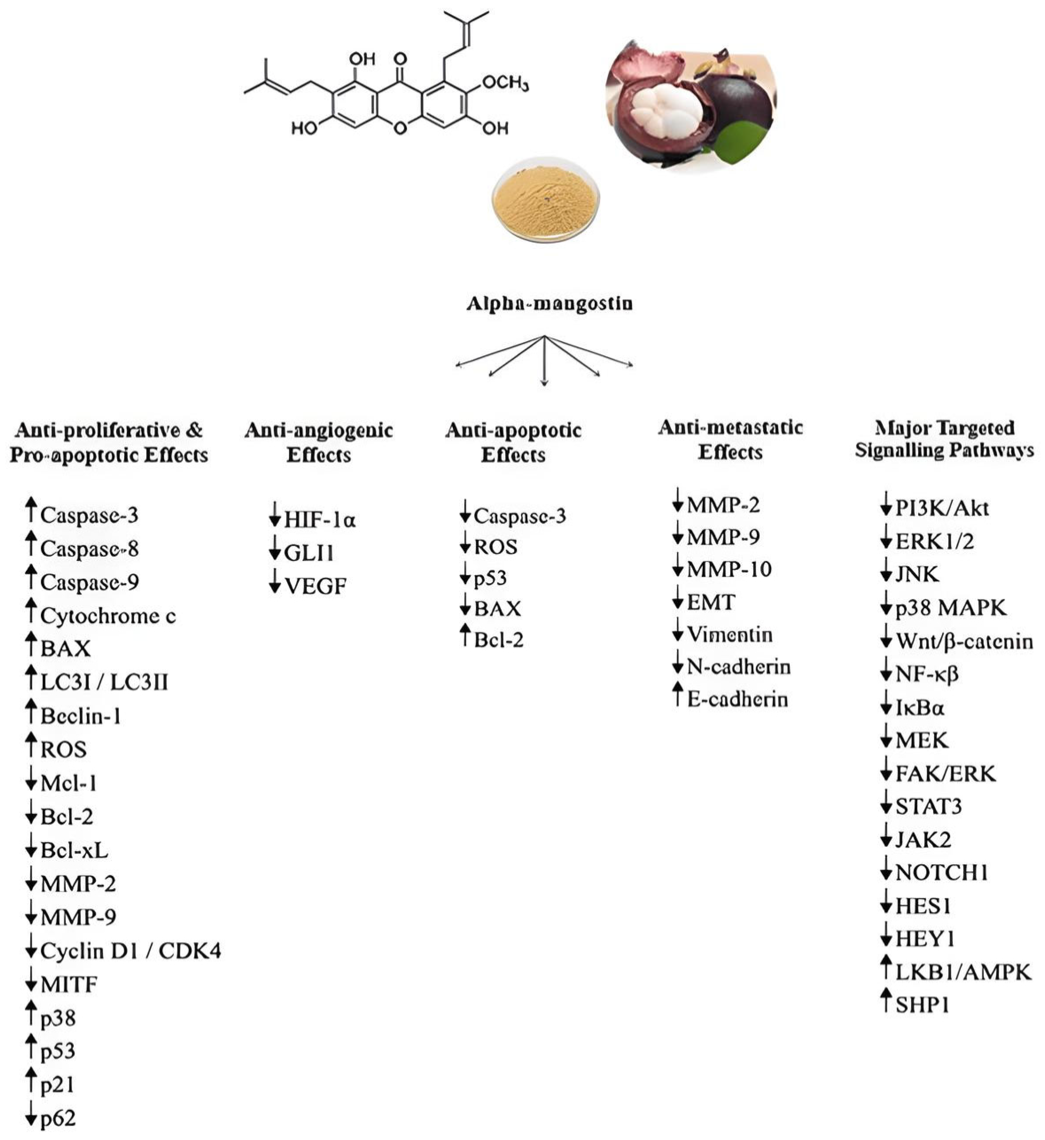 Biomolecules 14 01382 g001