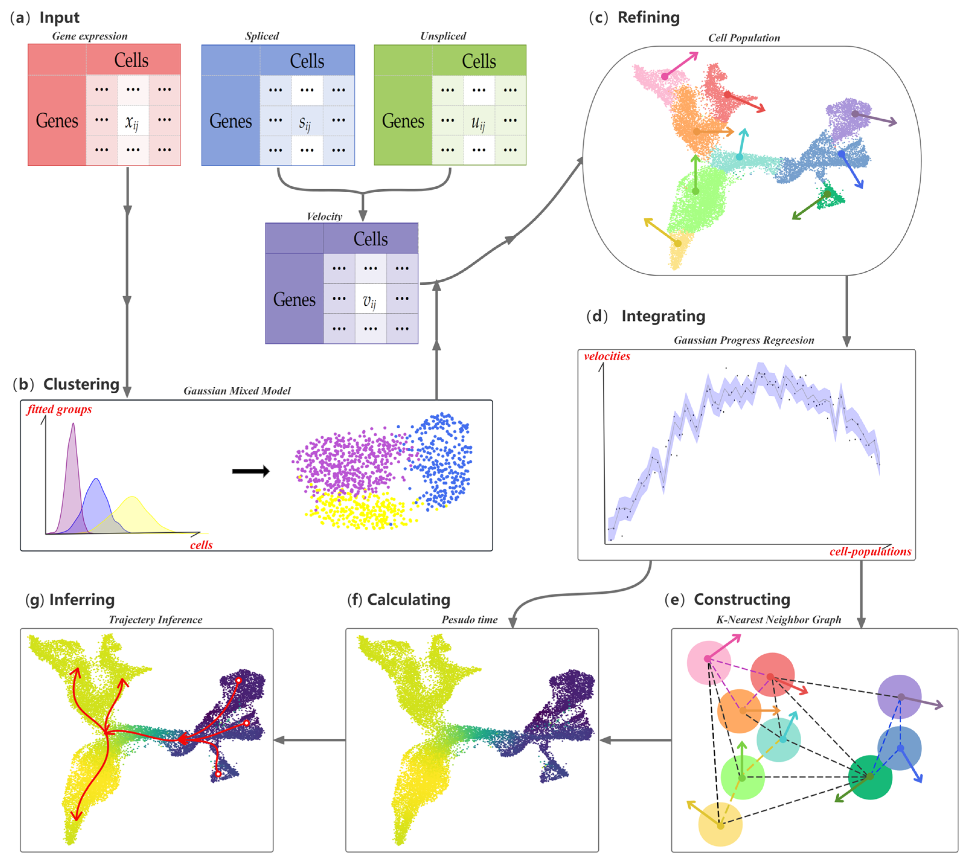 Biomolecules 14 01396 g001