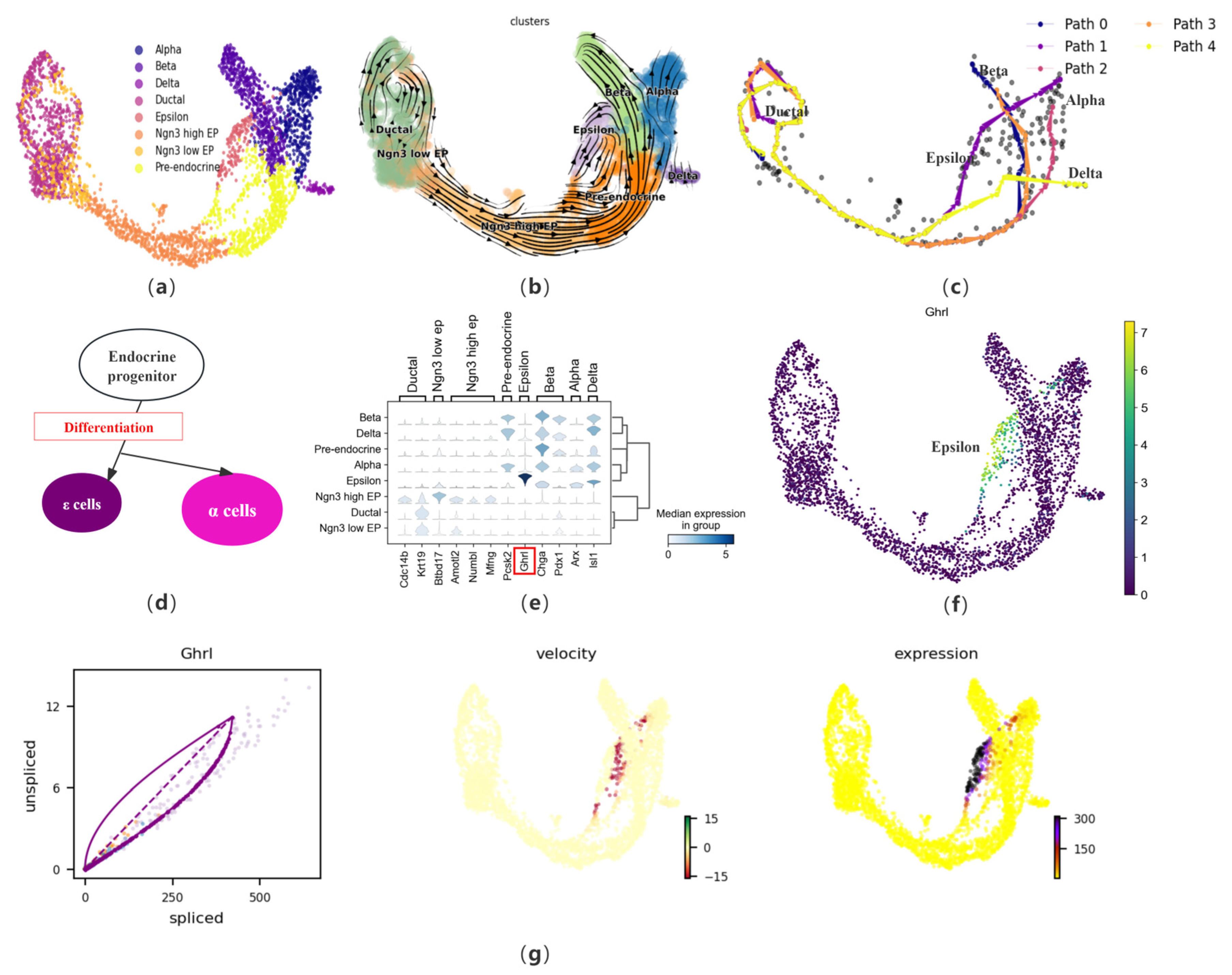Biomolecules 14 01396 g003