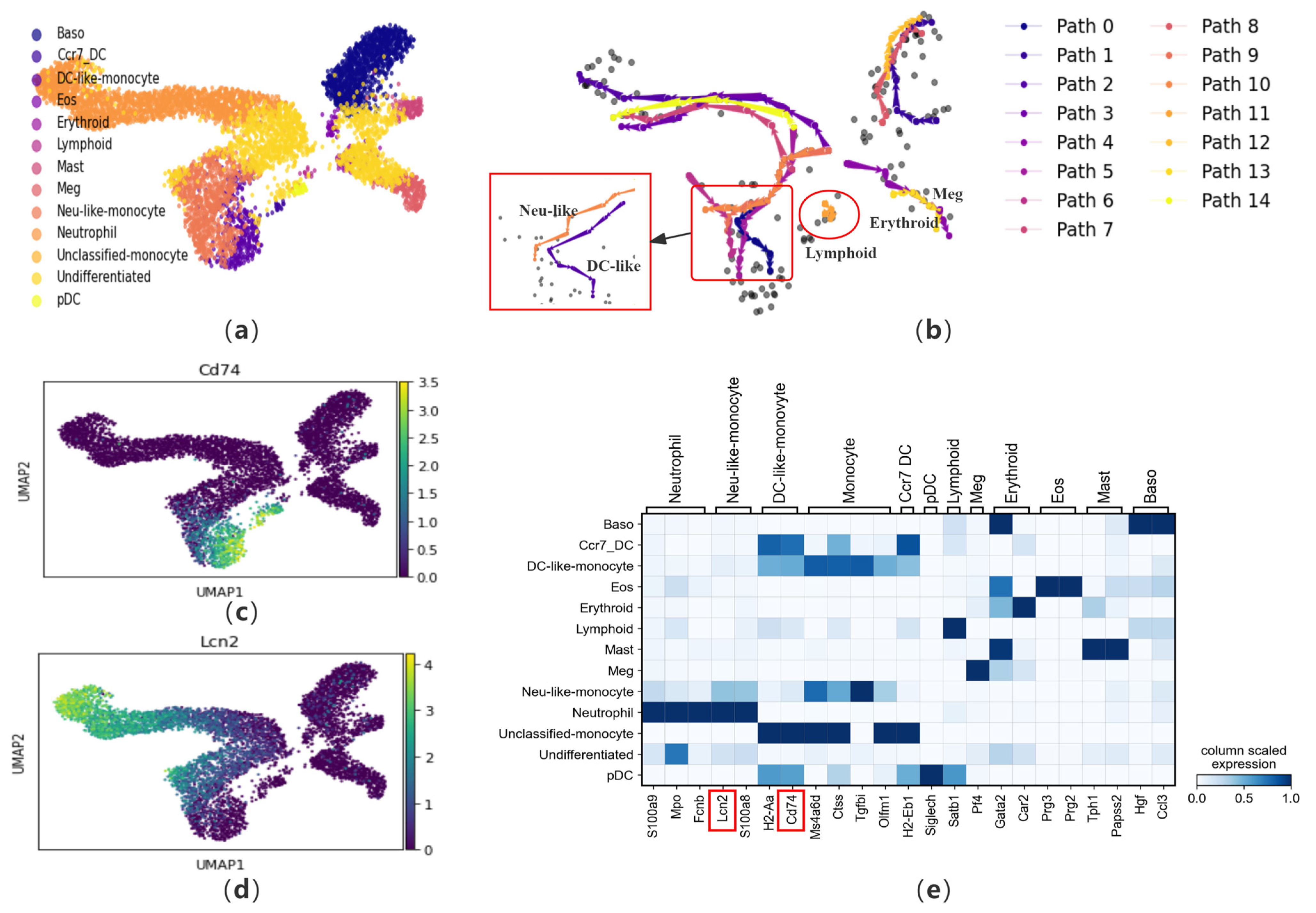 Biomolecules 14 01396 g005