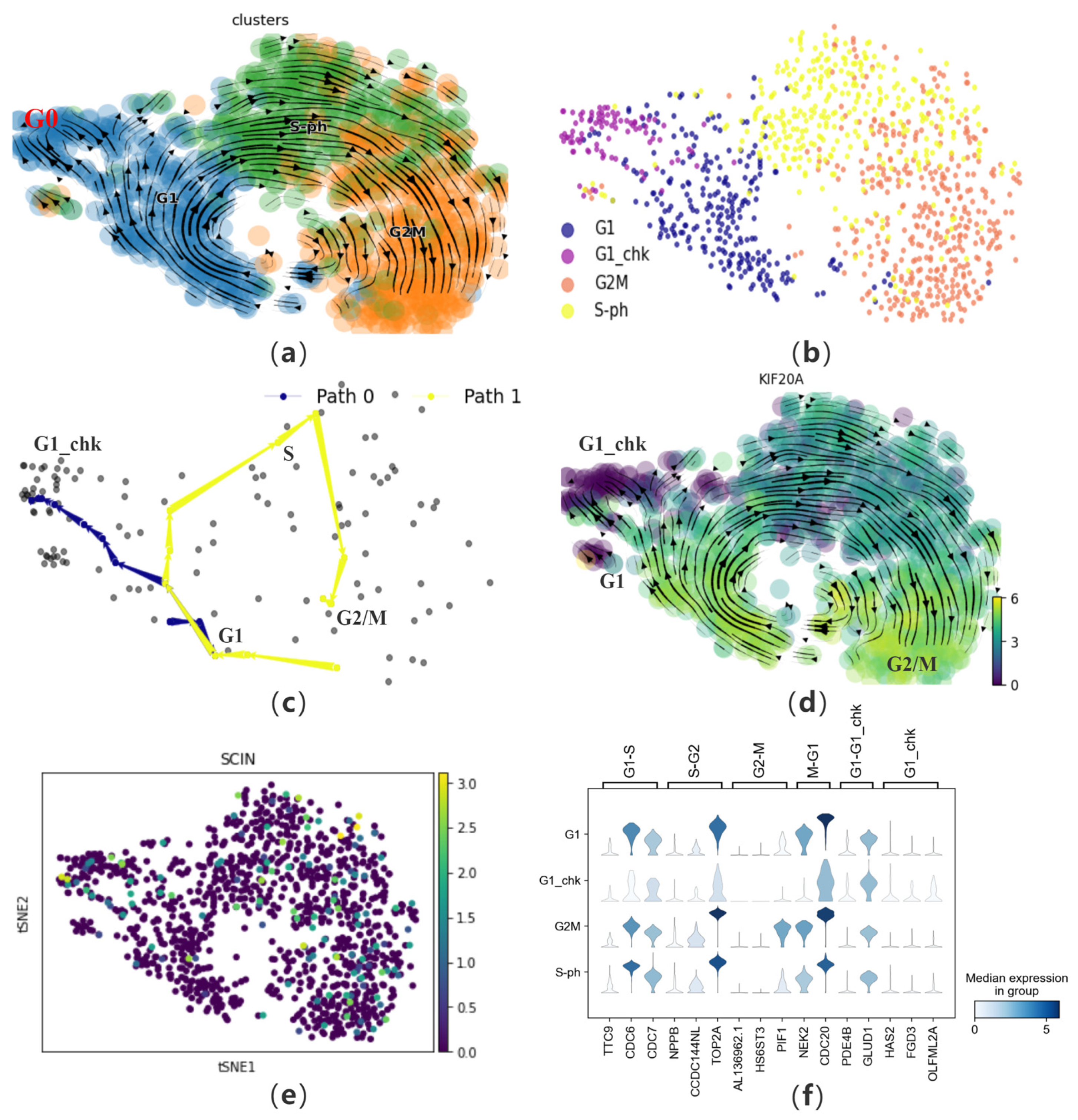 Biomolecules 14 01396 g006