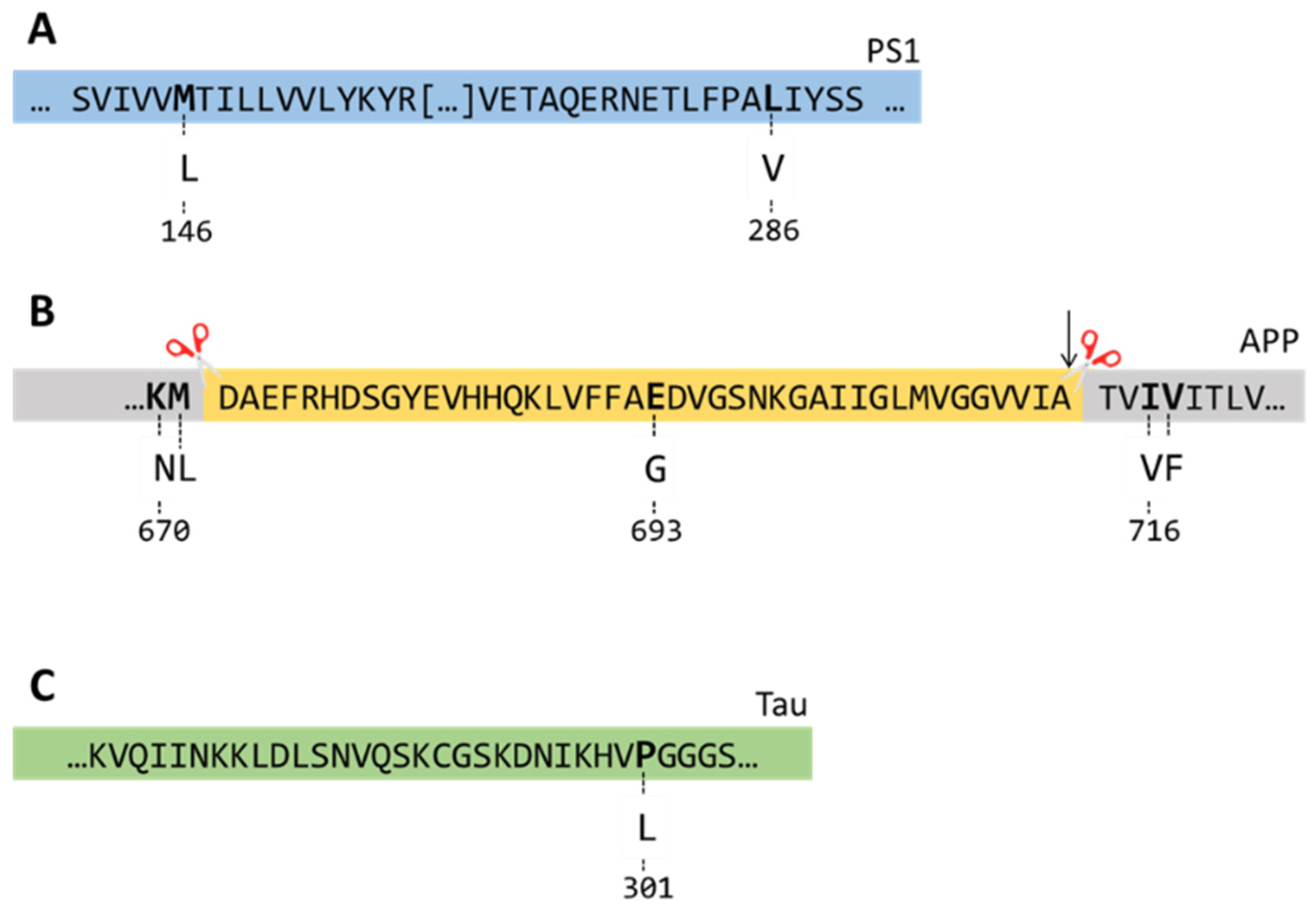Biomolecules 14 01405 g001
