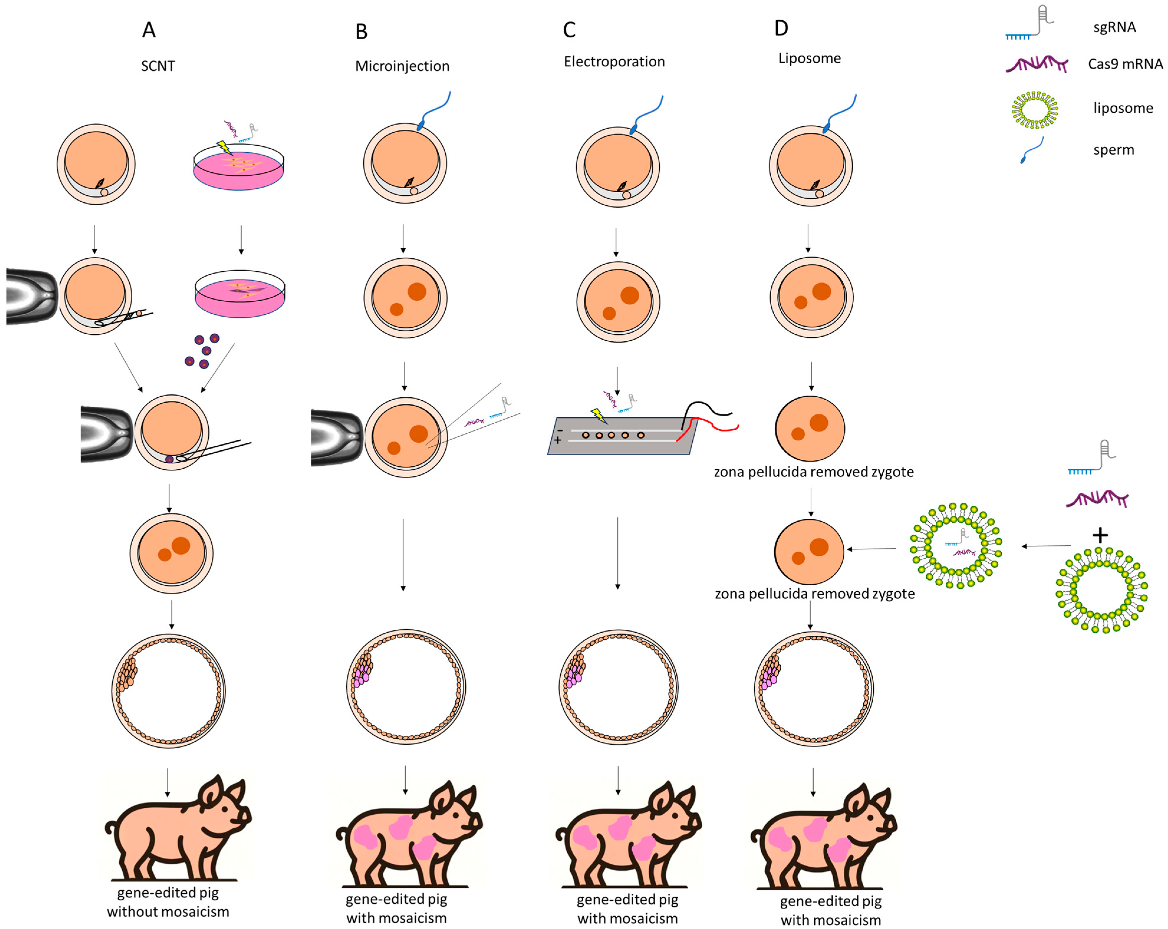 Biomolecules 14 01409 g001
