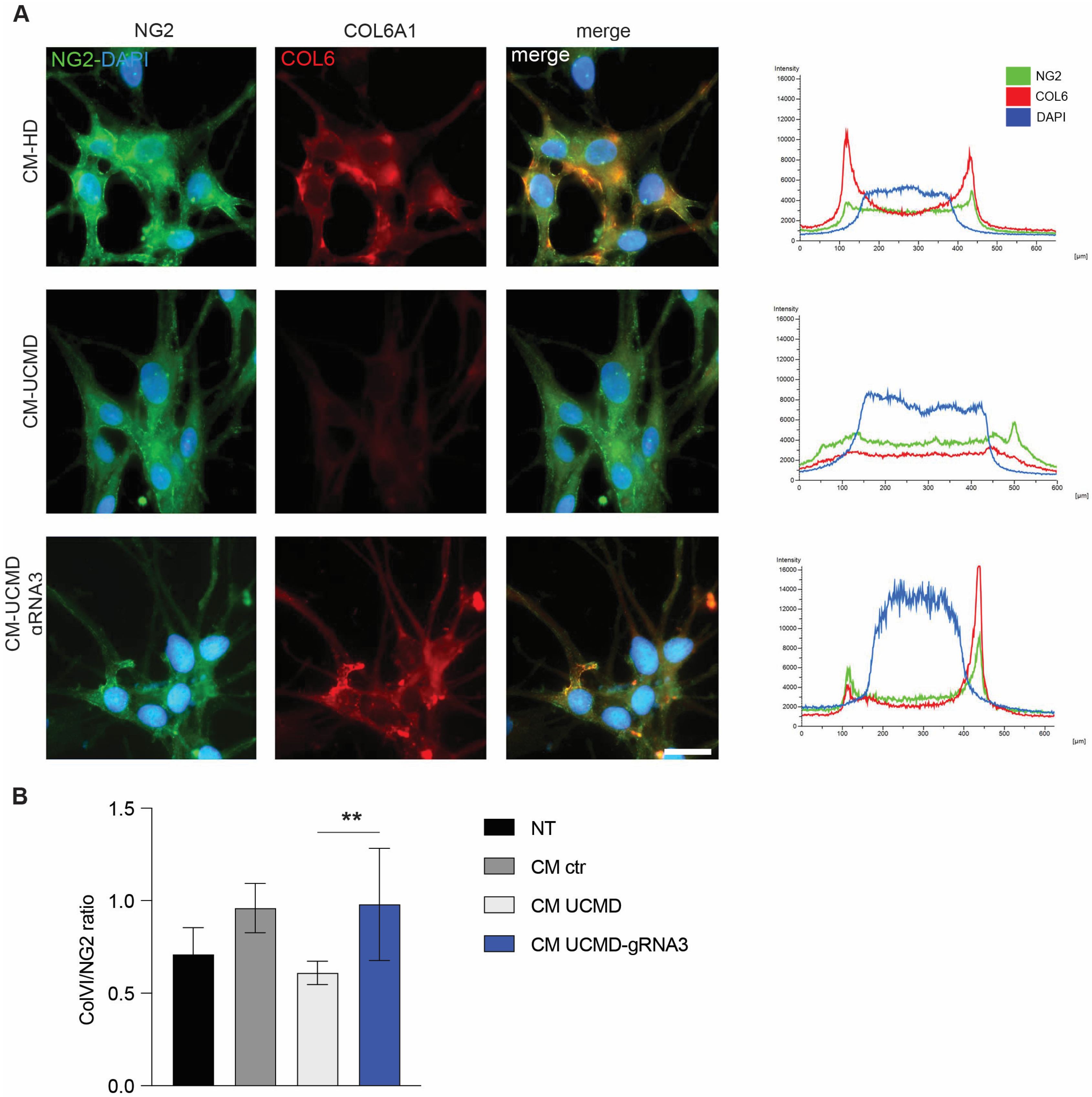 Biomolecules 14 01412 g005