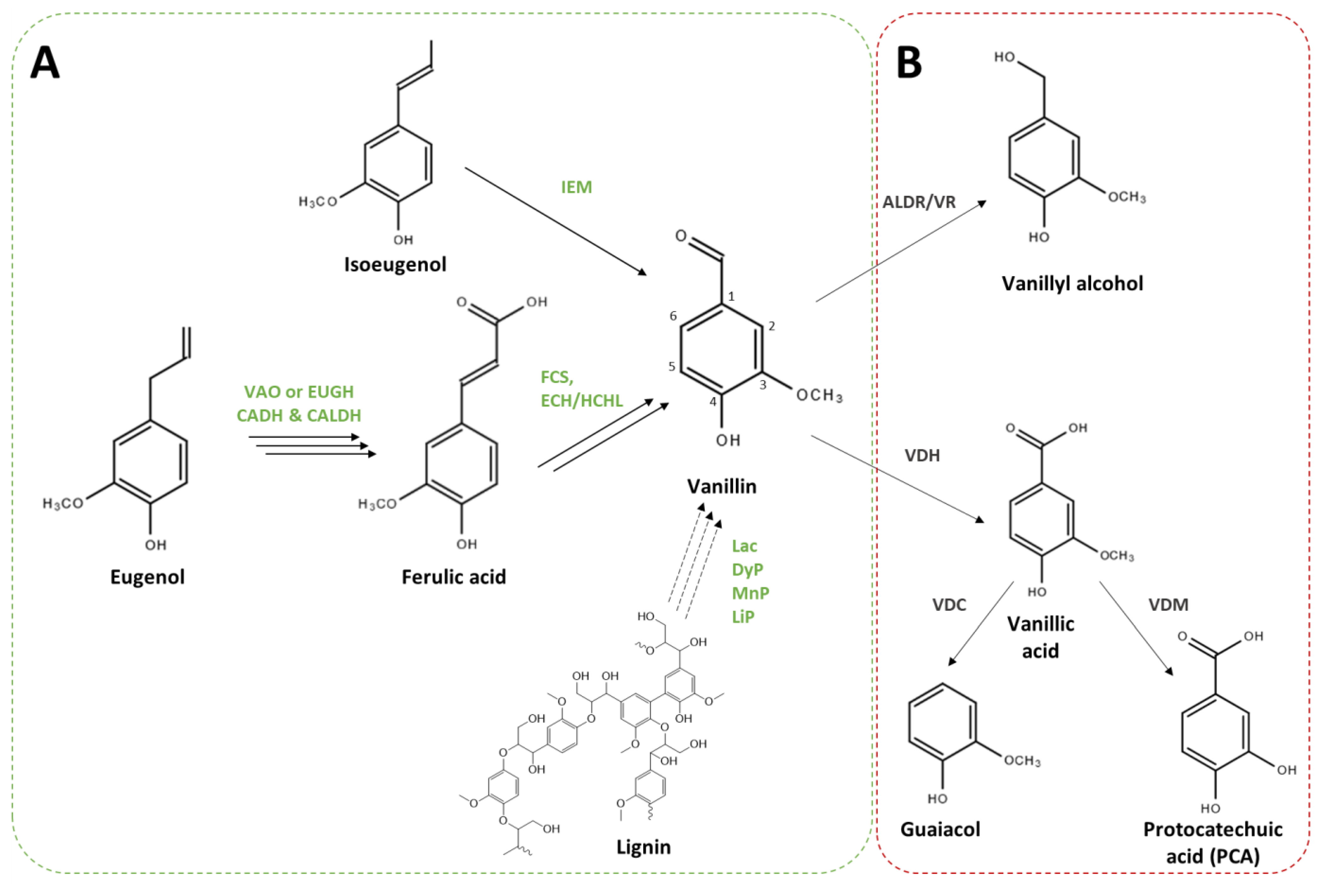 Biomolecules 14 01413 g002