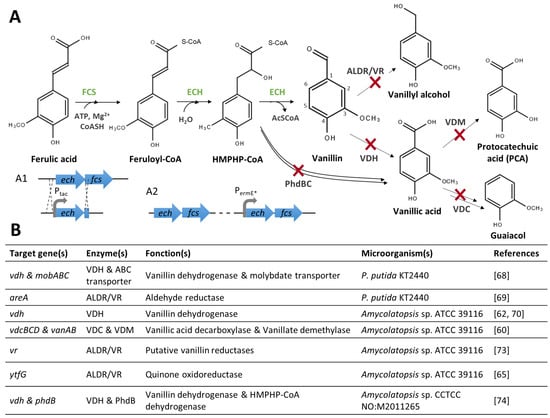 Biomolecules 14 01413 g004