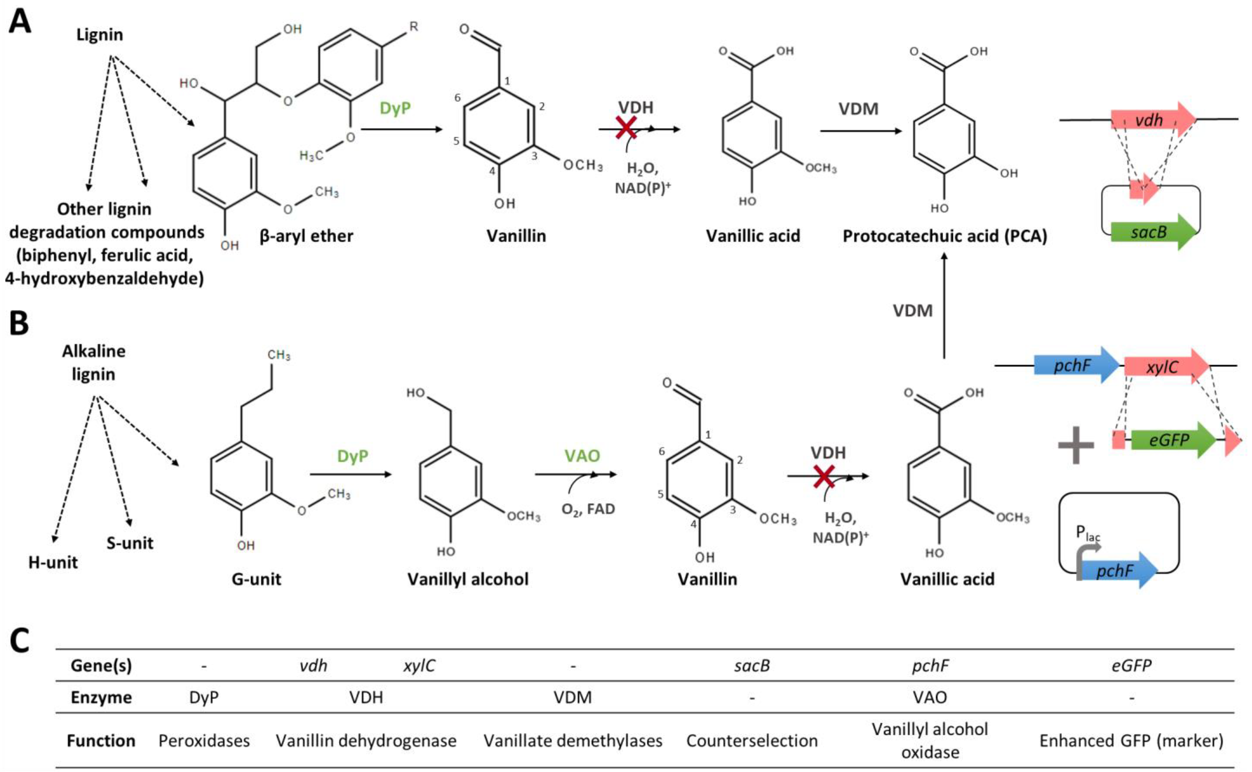 Biomolecules 14 01413 g005