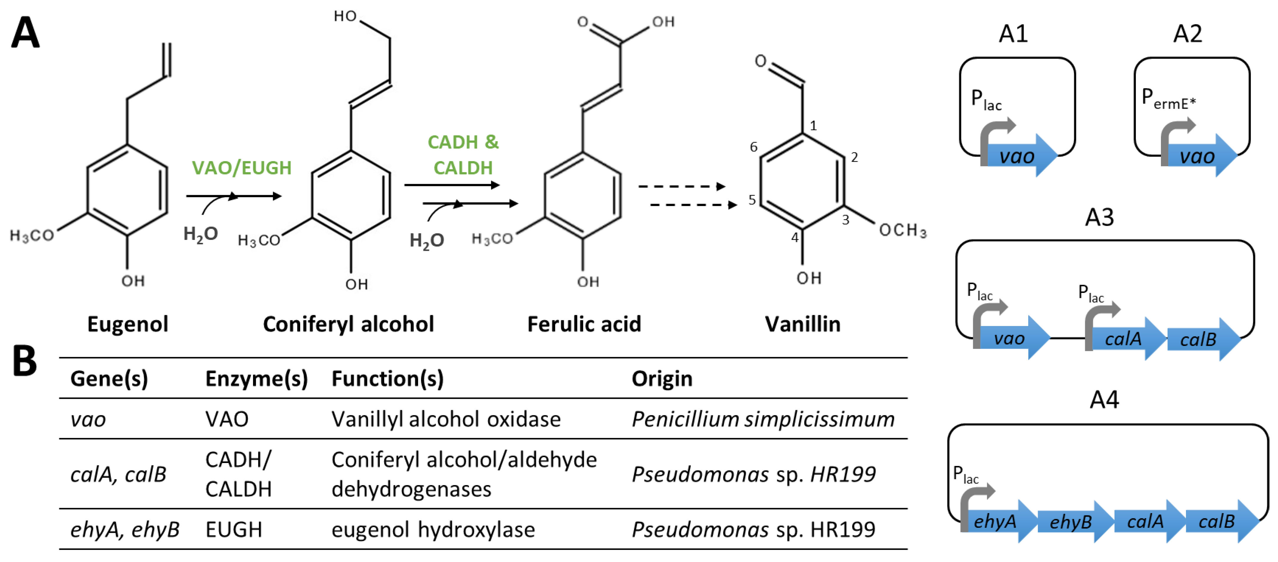 Biomolecules 14 01413 g006