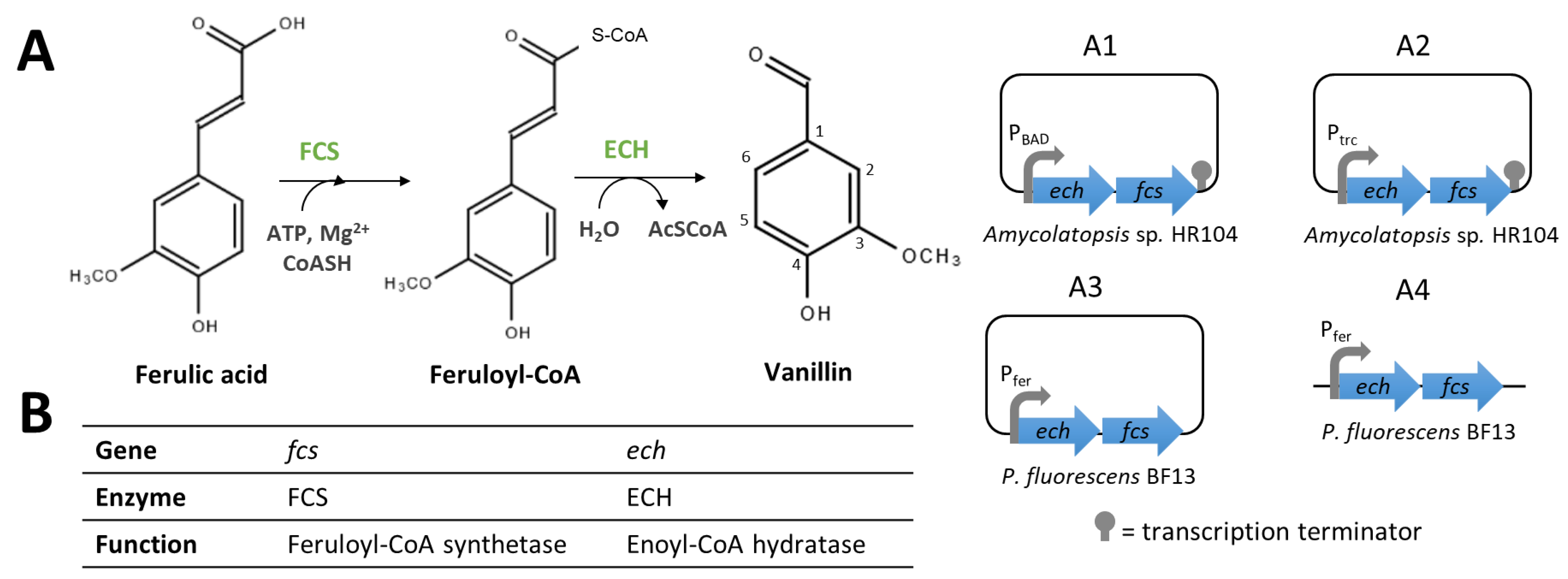 Biomolecules 14 01413 g008