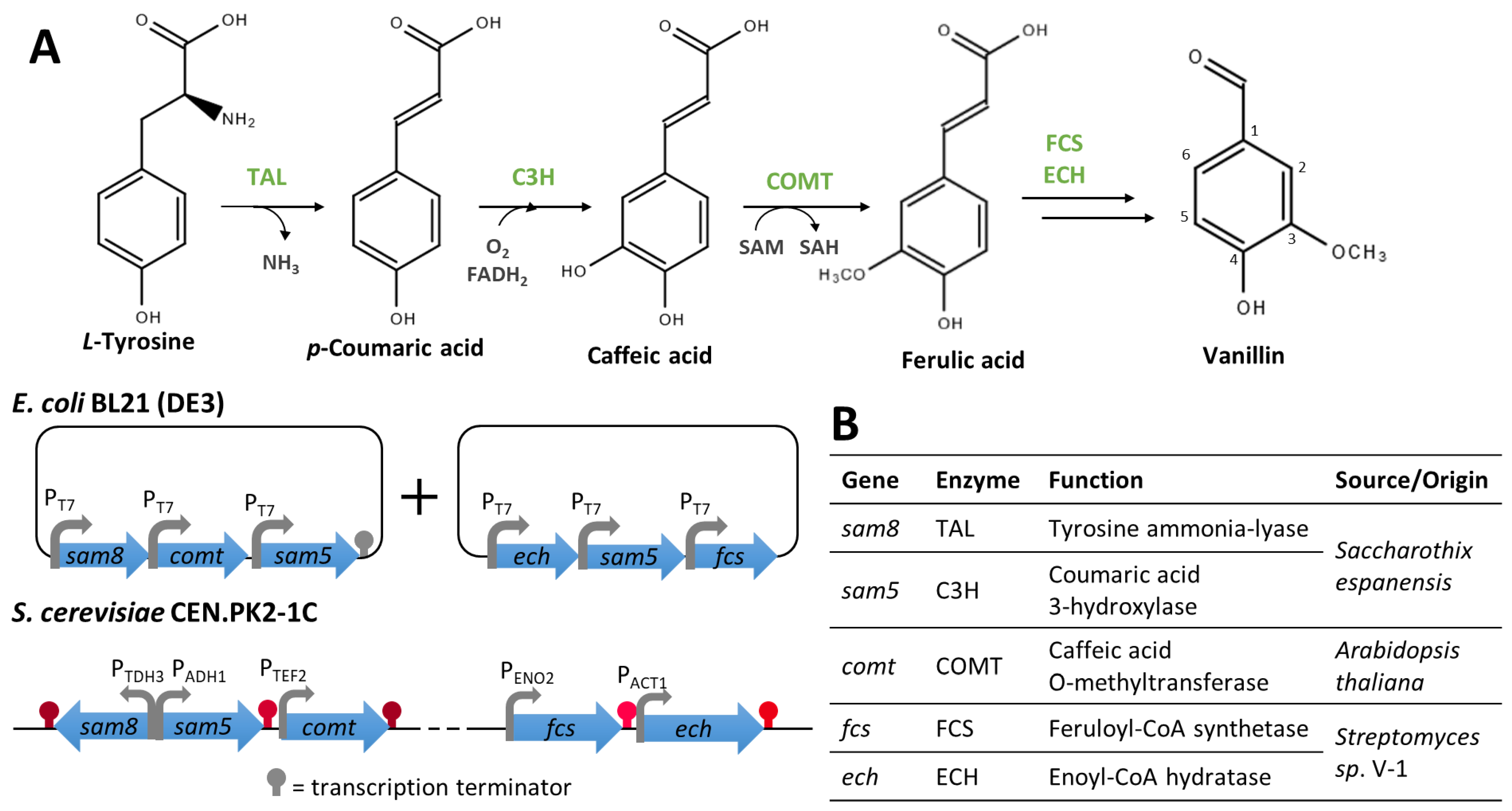 Biomolecules 14 01413 g009