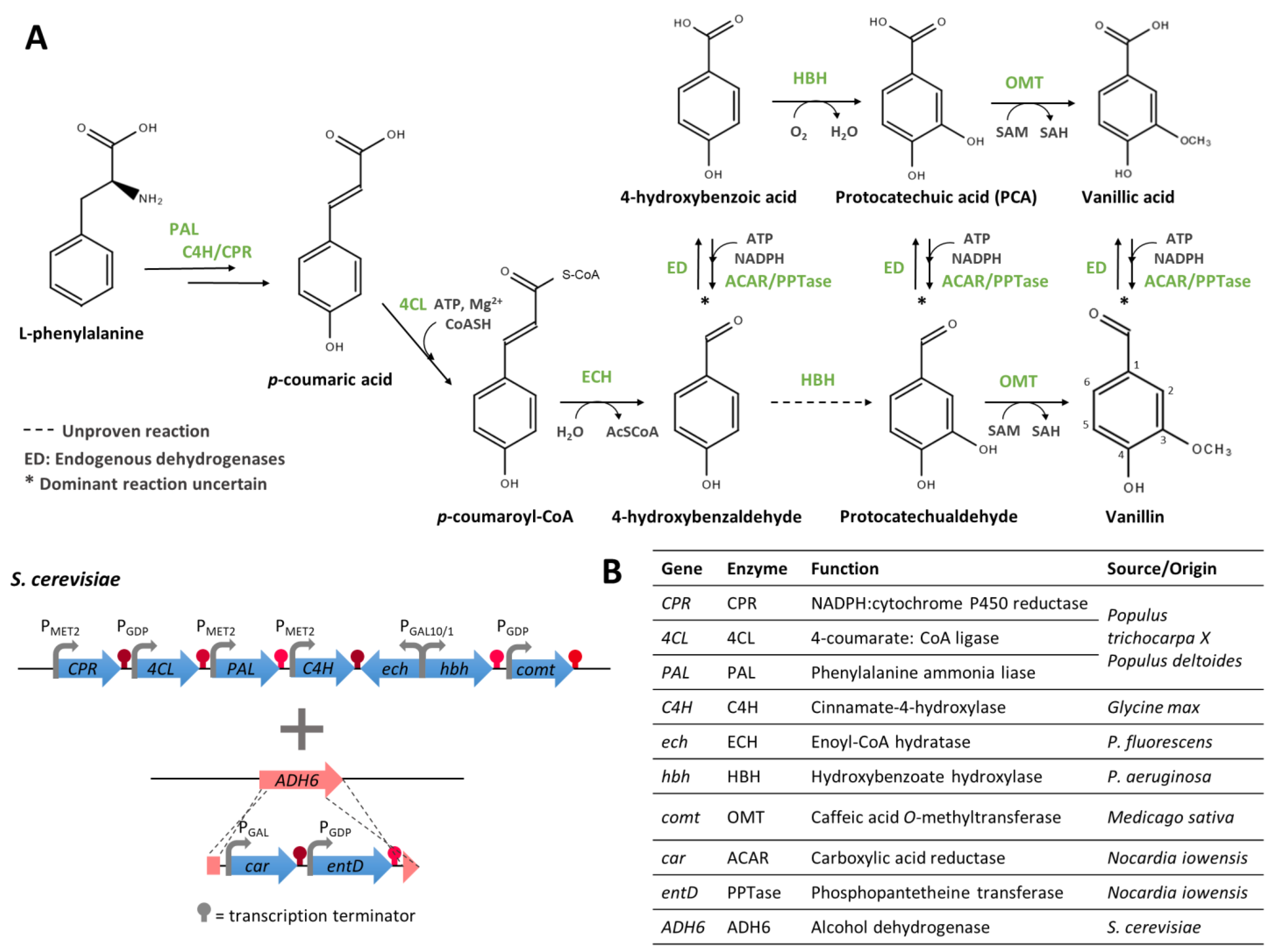 Biomolecules 14 01413 g010