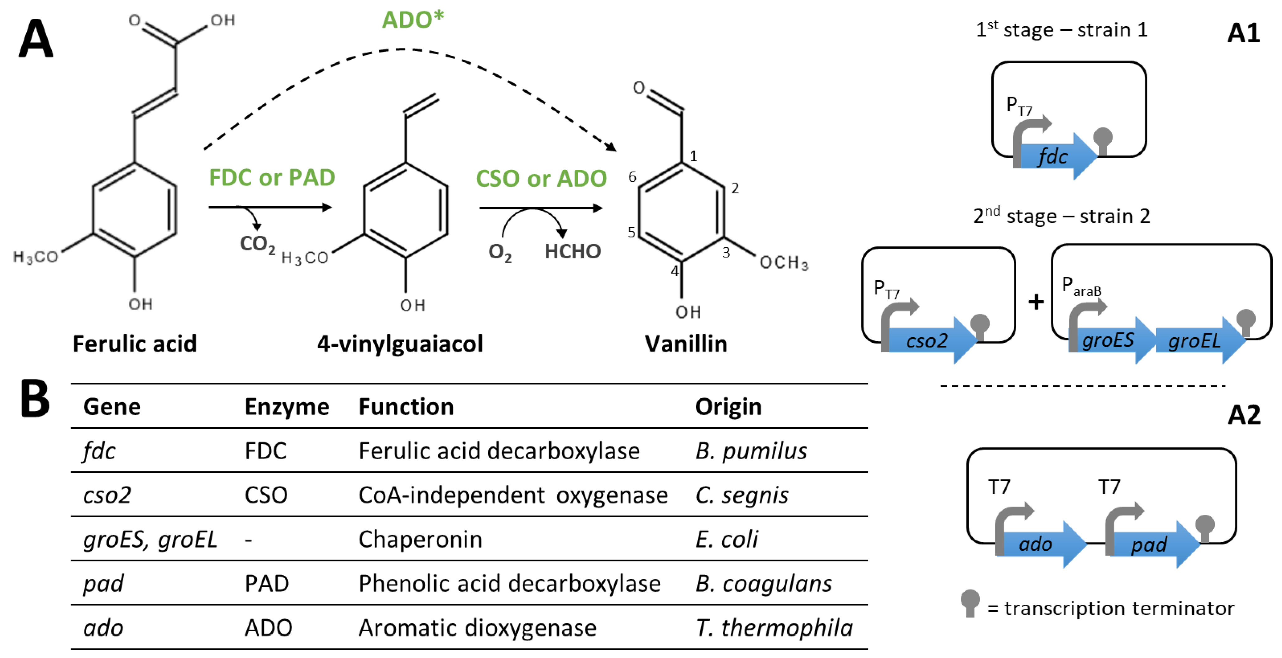Biomolecules 14 01413 g011