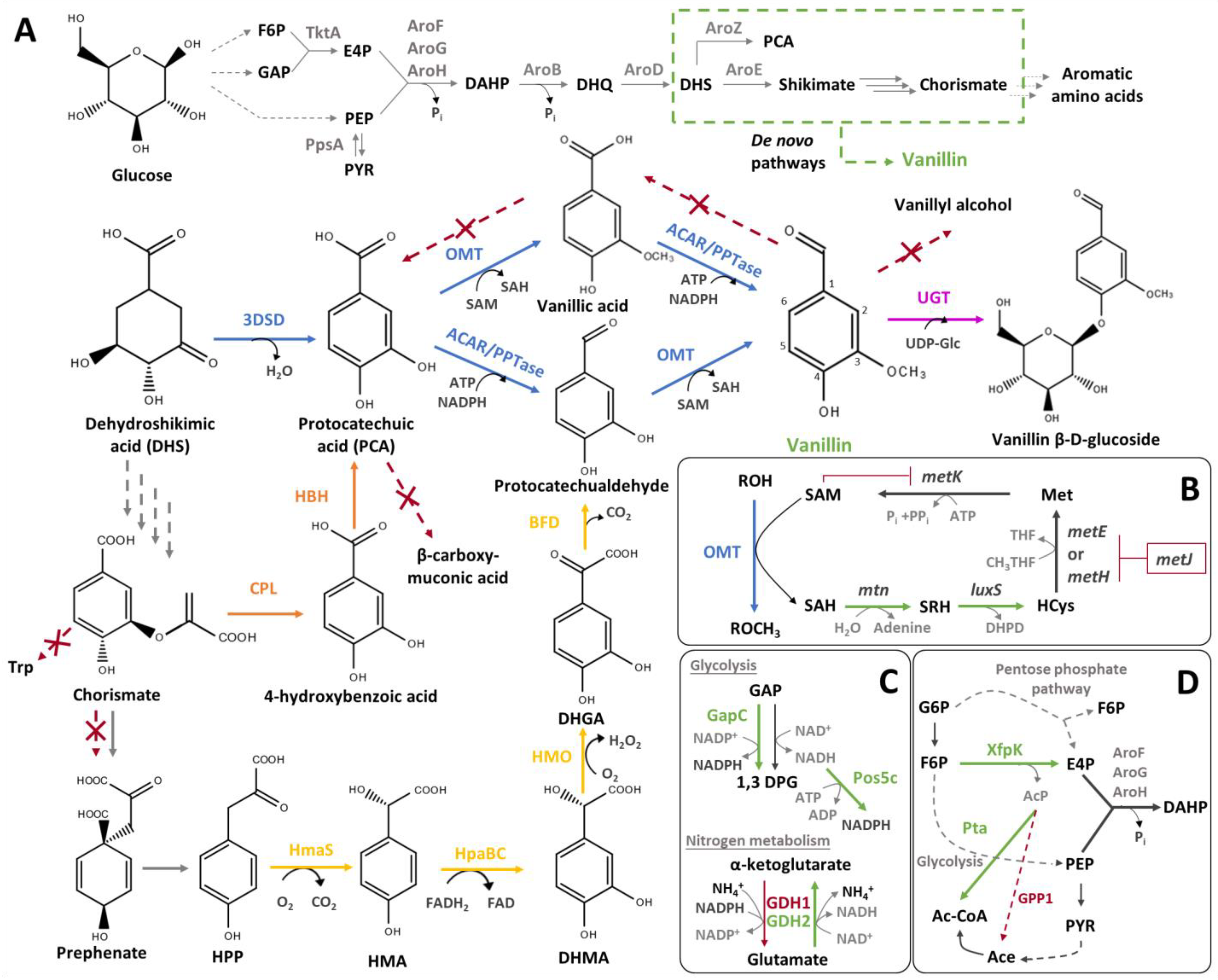 Biomolecules 14 01413 g012