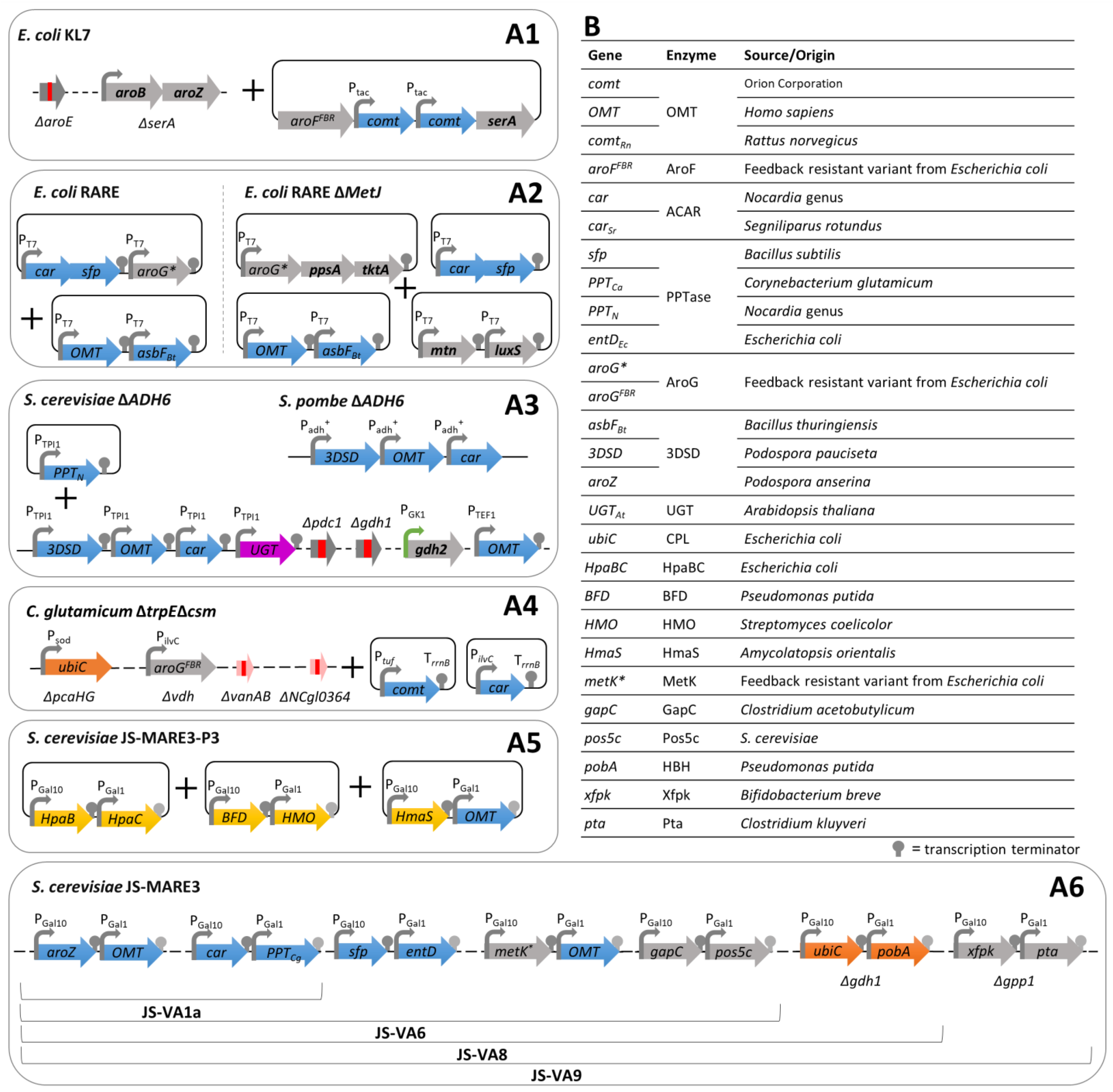 Biomolecules 14 01413 g013