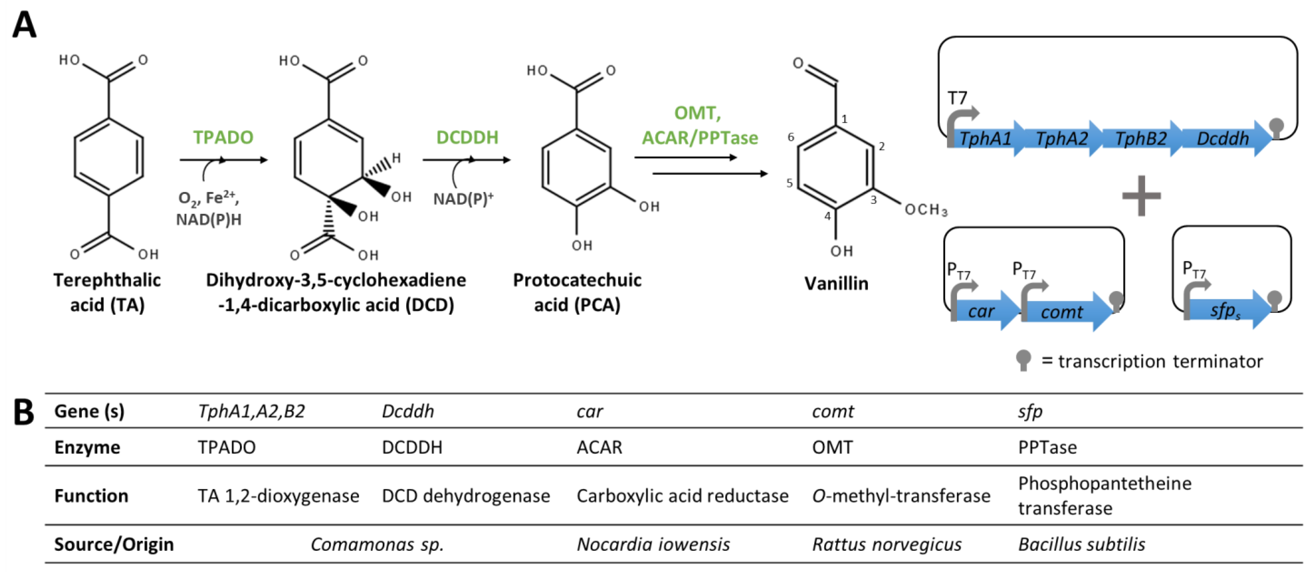 Biomolecules 14 01413 g014