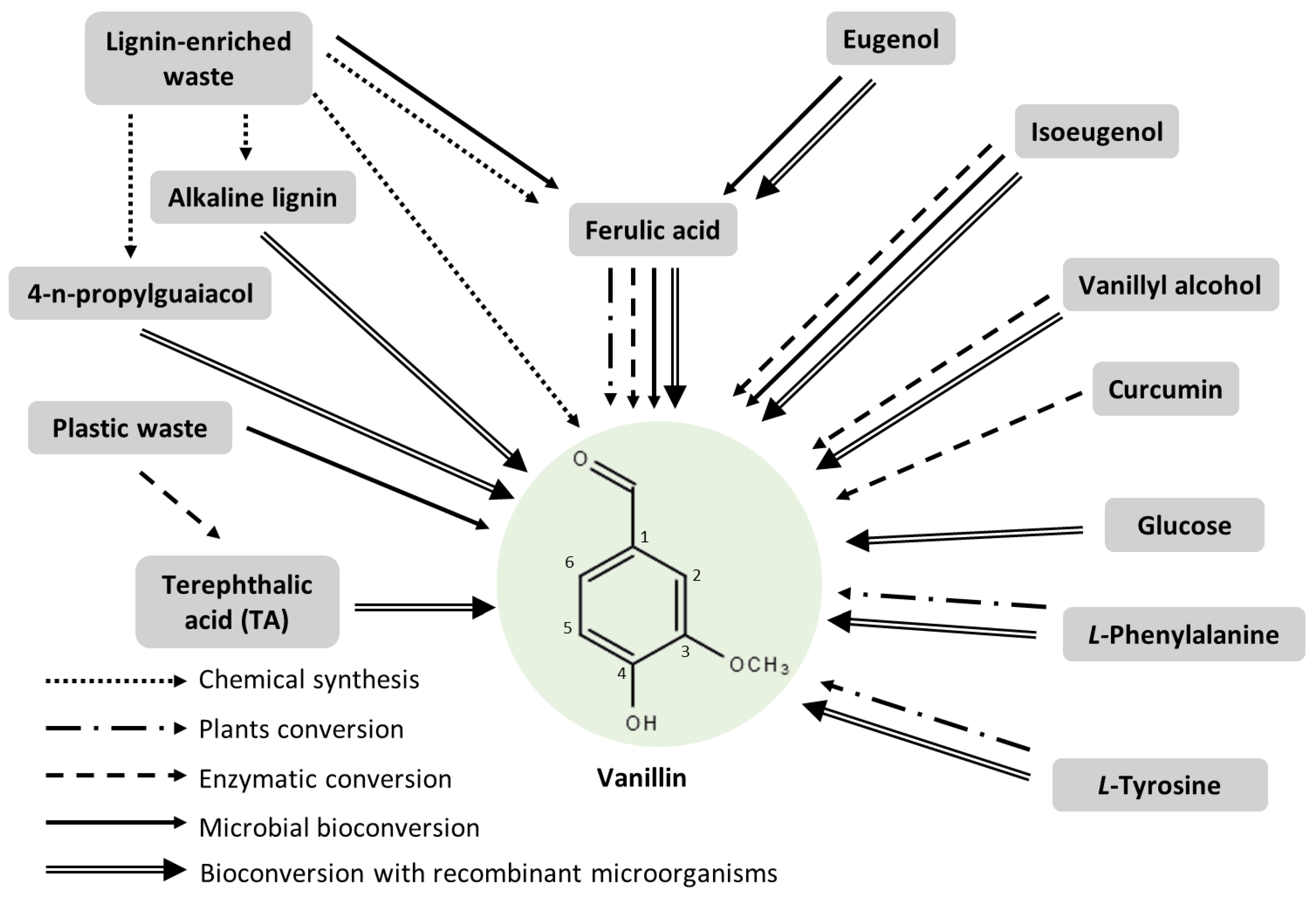 Biomolecules 14 01413 g015