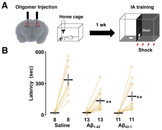 Biomolecules 14 01425 g001